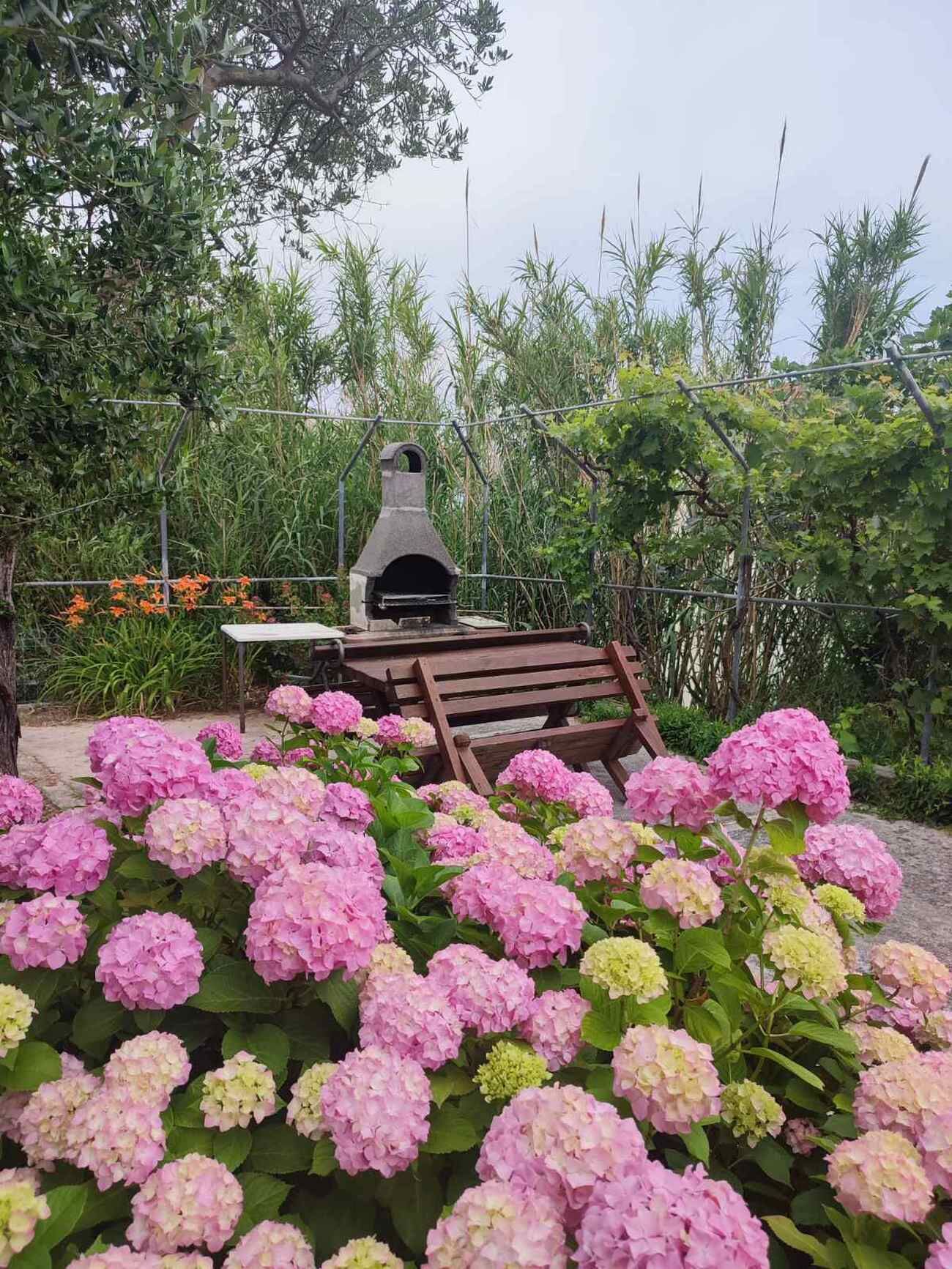 Photo of Apartment Ankica Valeria