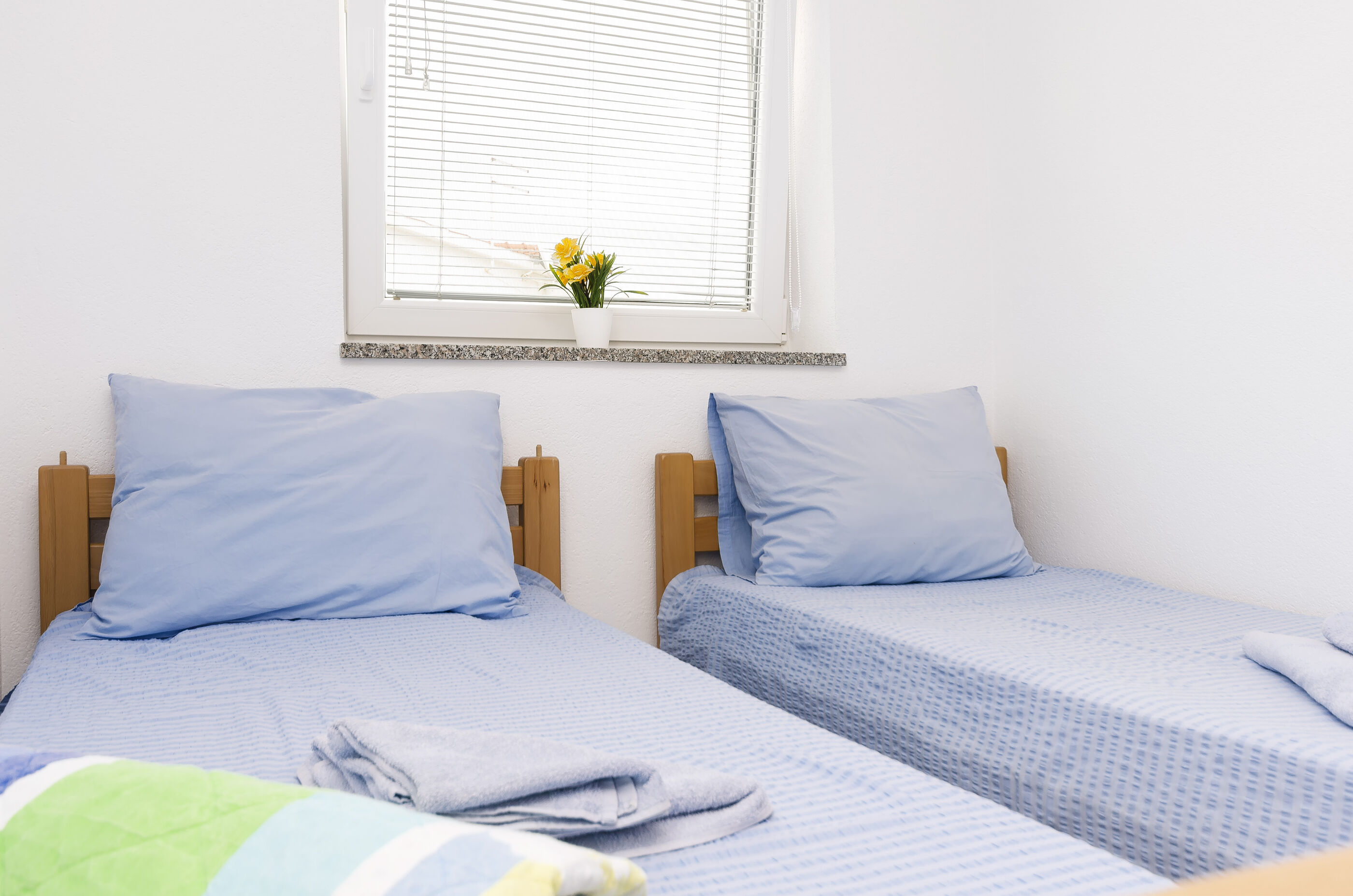Apartment Orchid 97321-A1