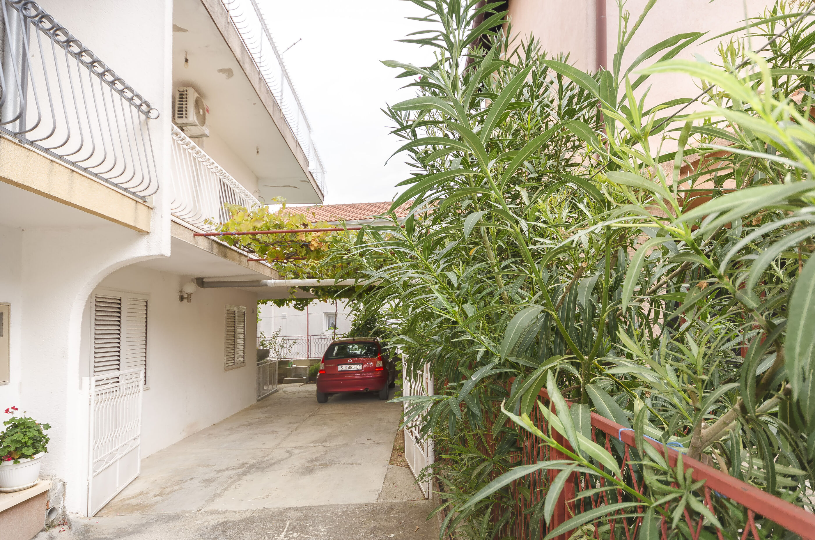 Apartment Orchid 97321-A1