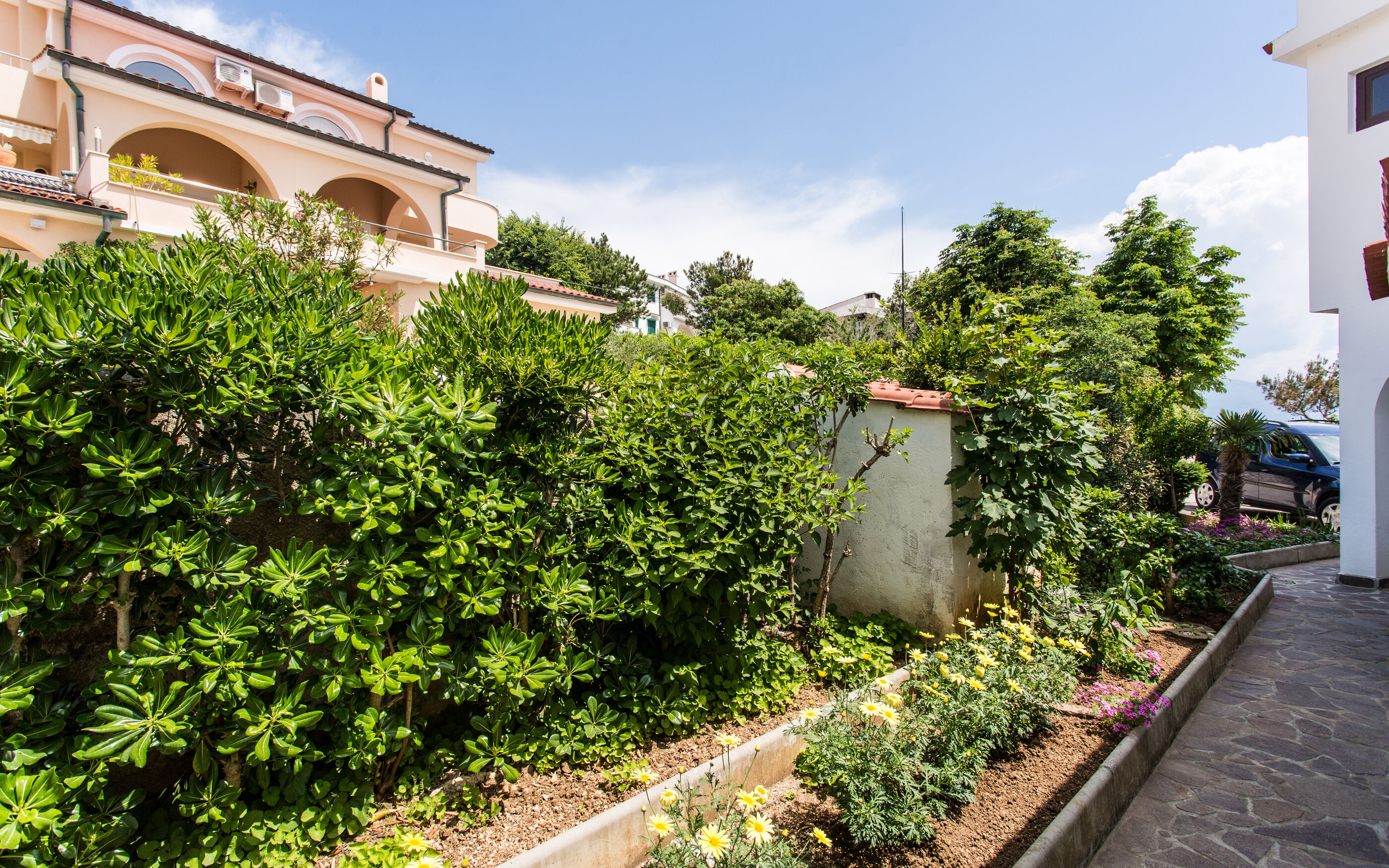 Apartment Jelka 68751-A1