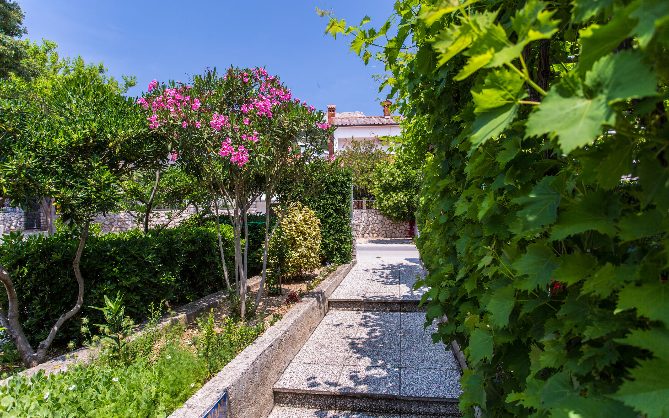Apartments Dorijana 68731-A3
