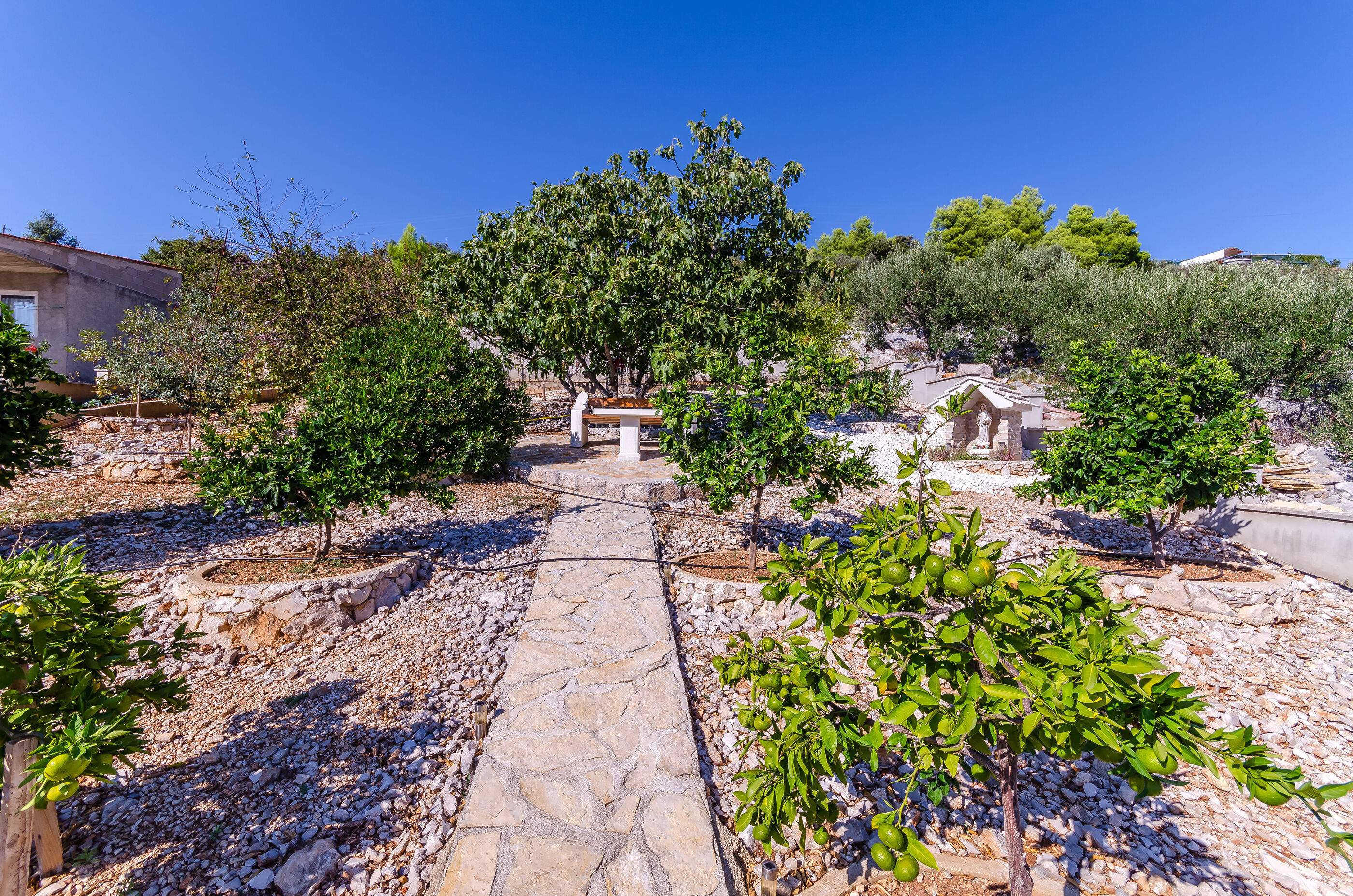 Photo of Apartment Karolina