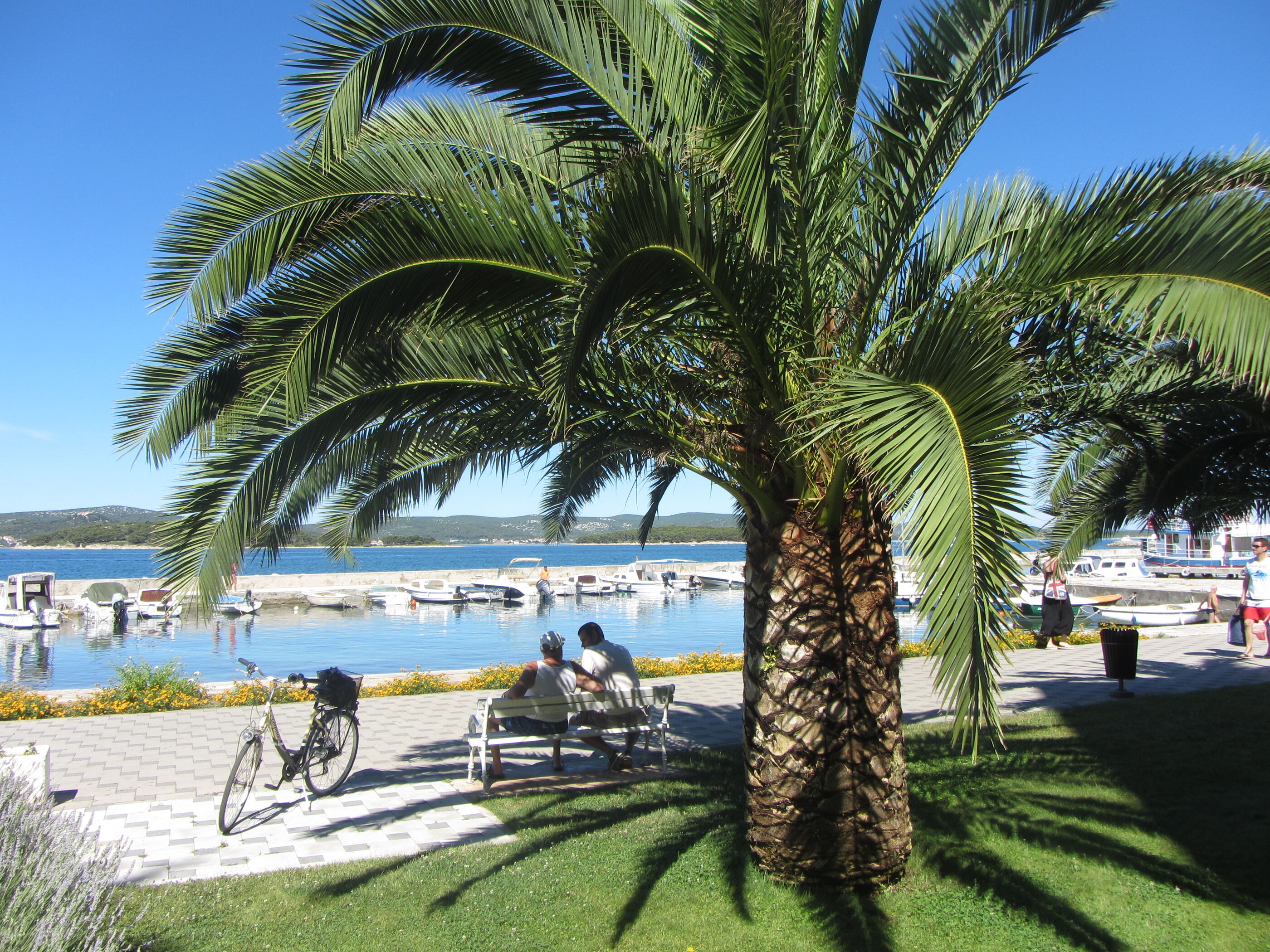 Photo of Apartments Vongola