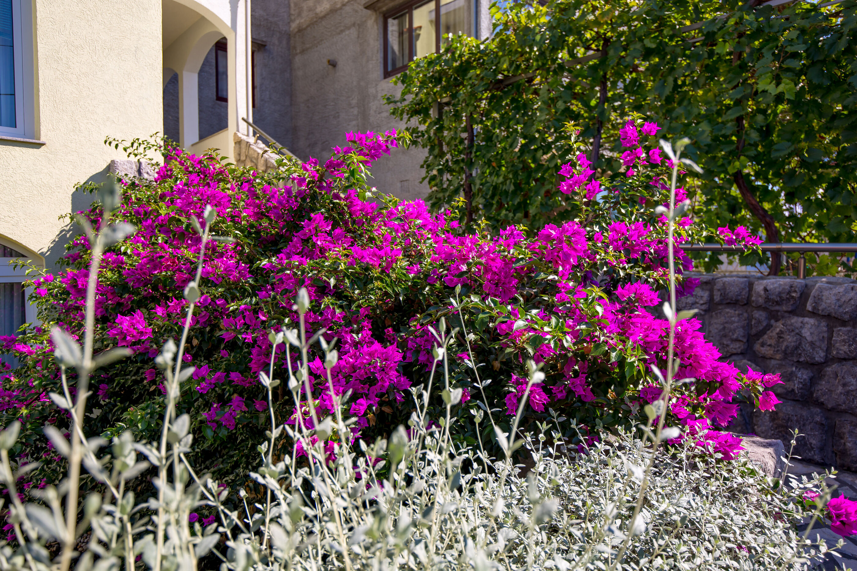 Apartmani i Soba Slavica S1