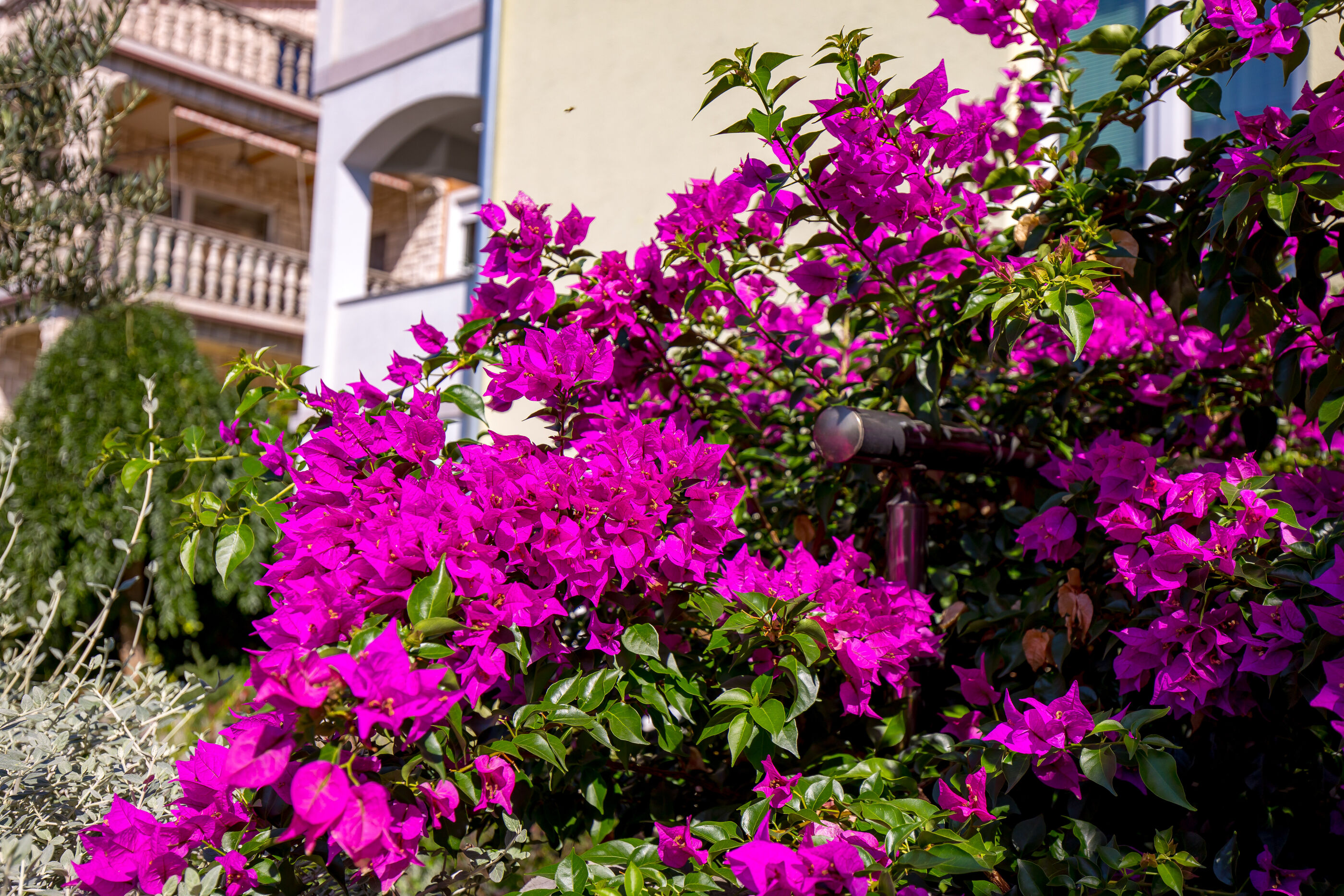 Apartmani i Soba Slavica S1