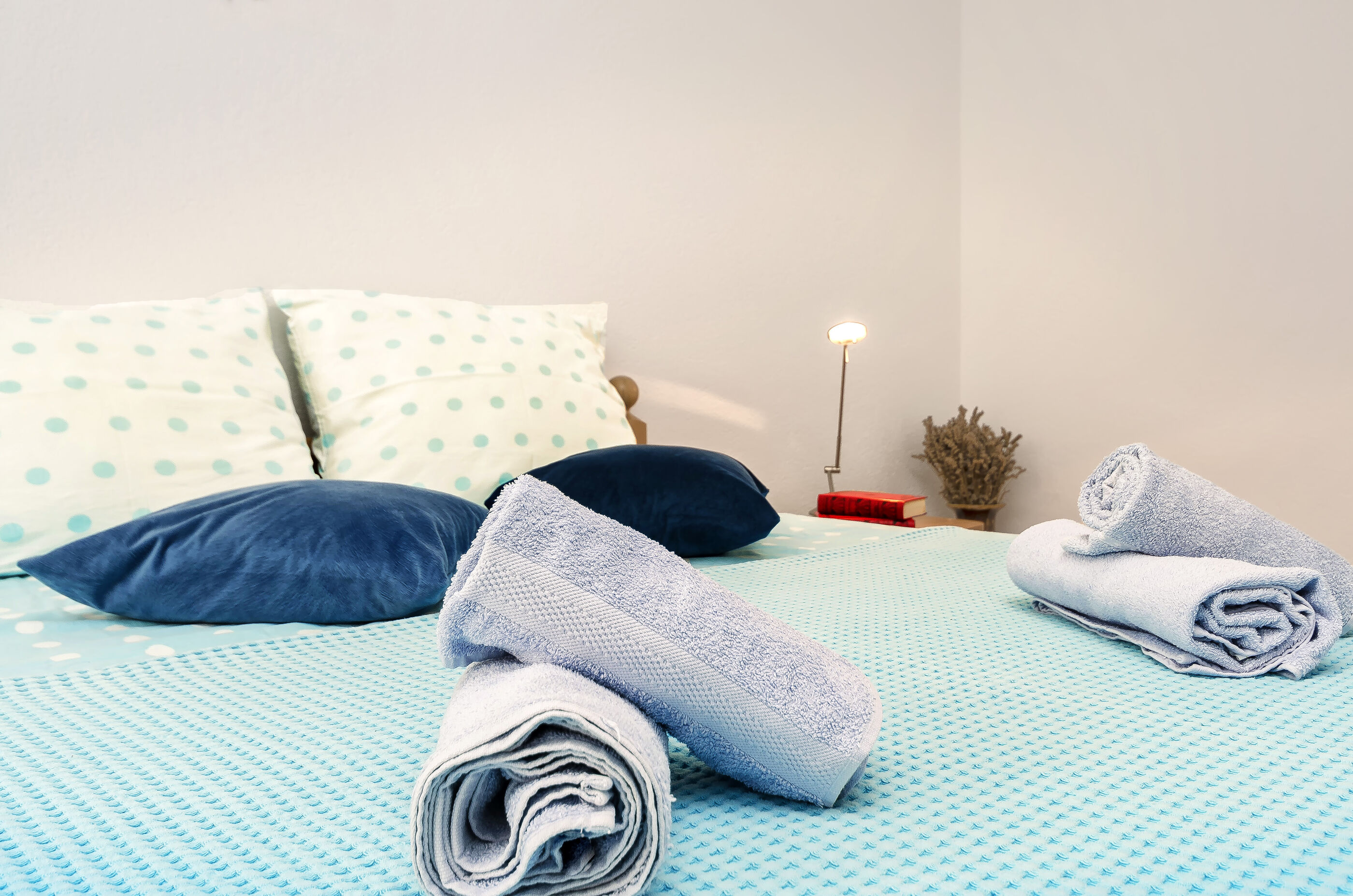 Apartment Orchid 97321-A1