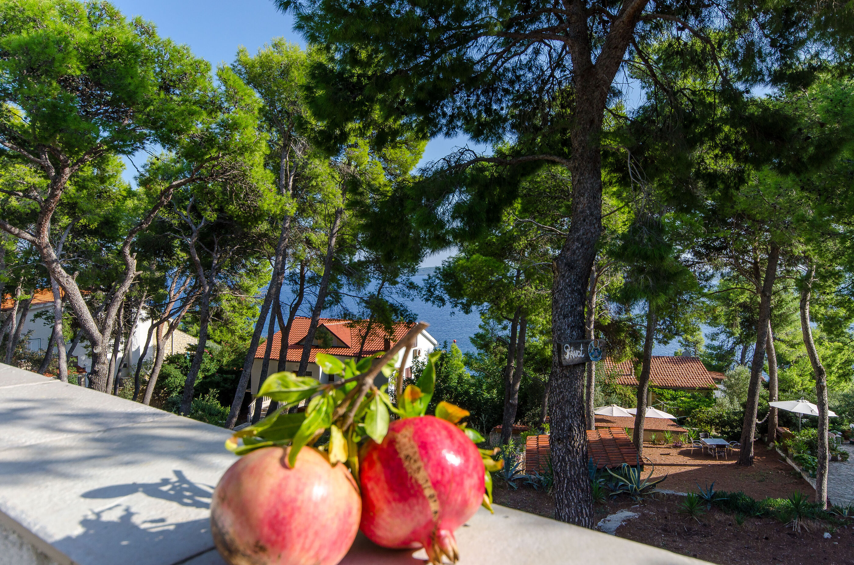 Apartments Bogovic 91341-A1