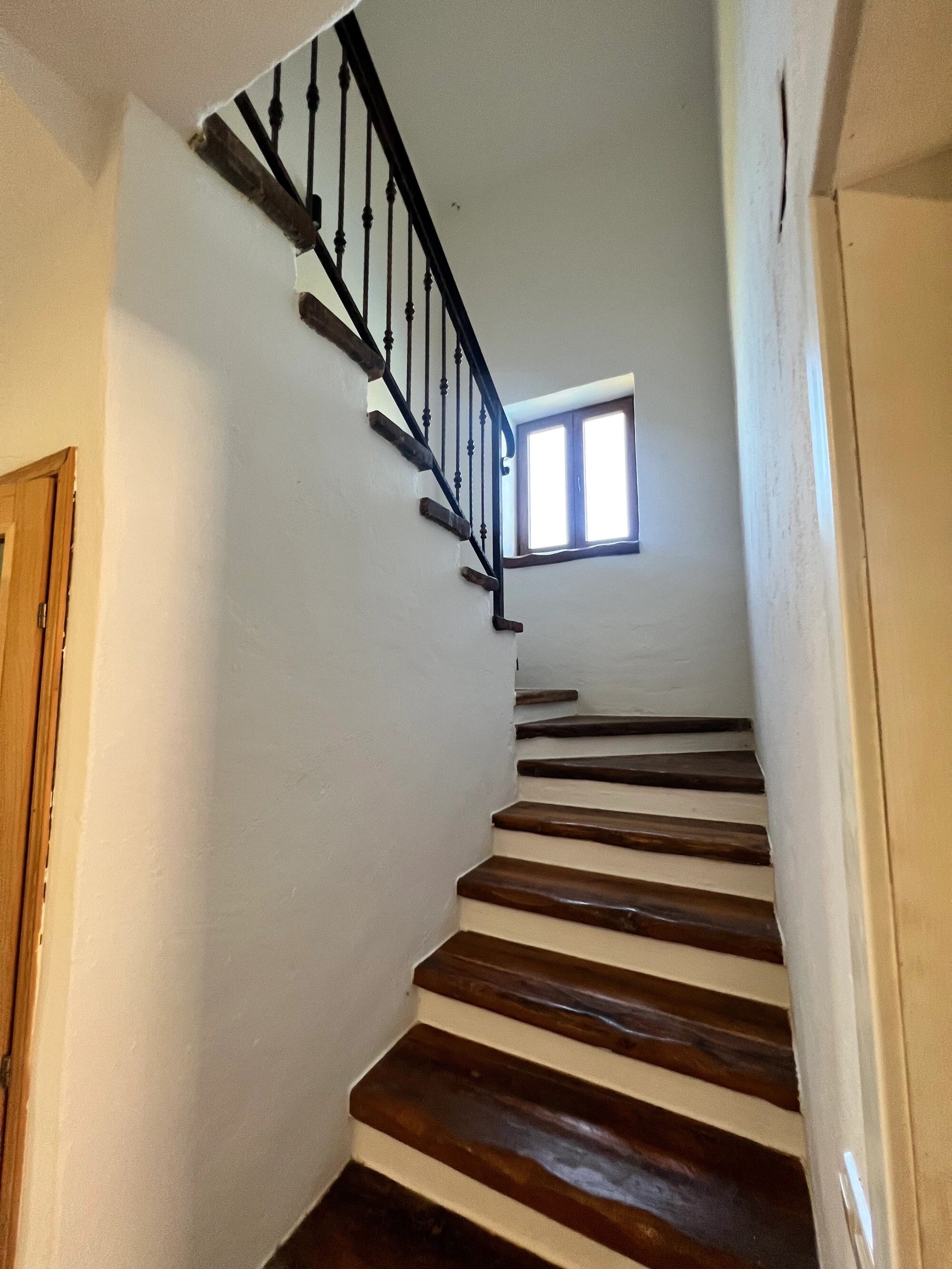 House Lena 74461-K1