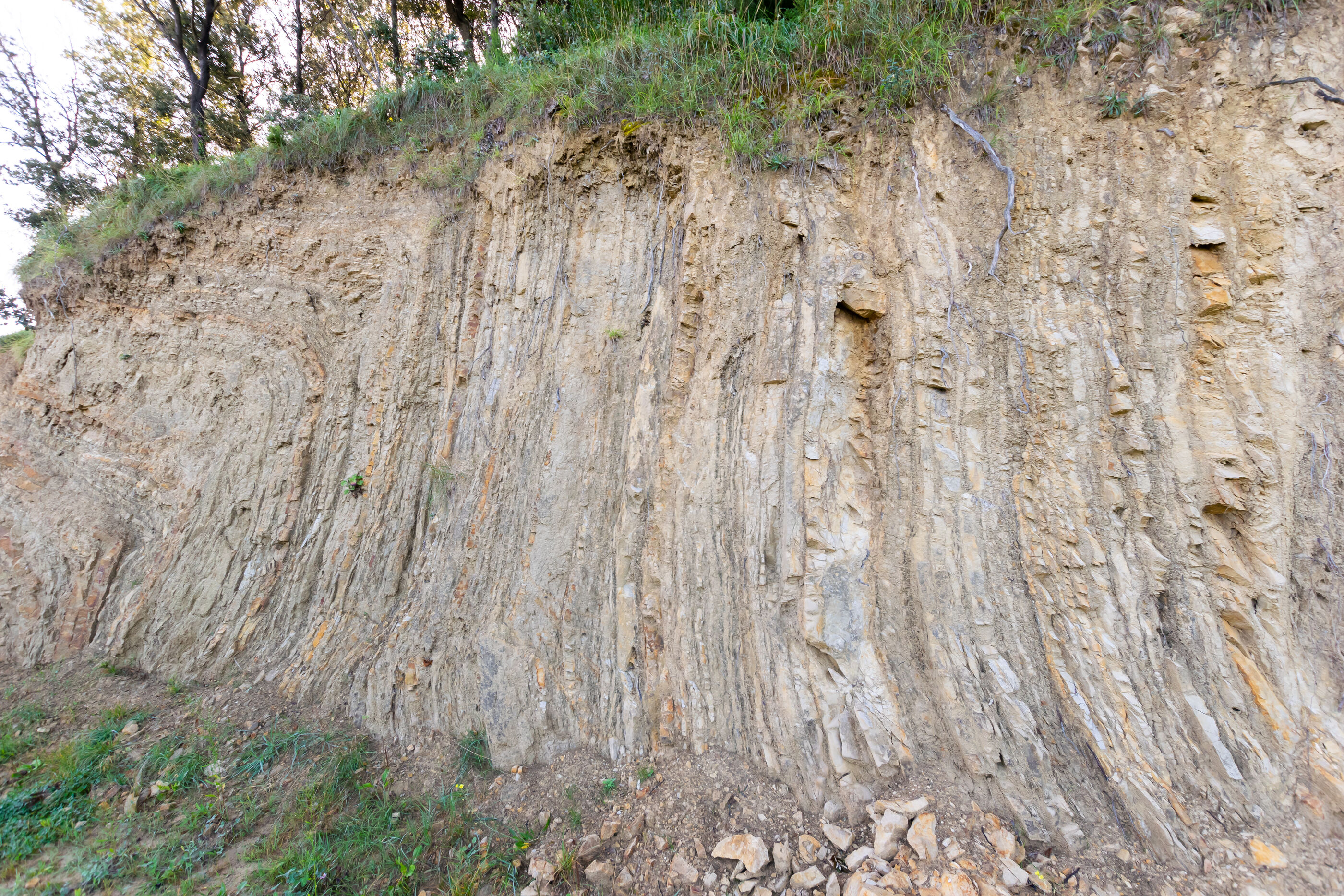 Photo of Apartment Slavko R