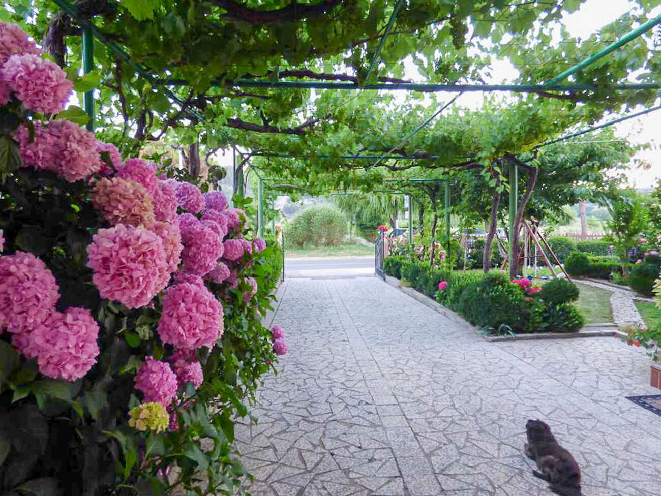 Photo of Apartments Ivan C