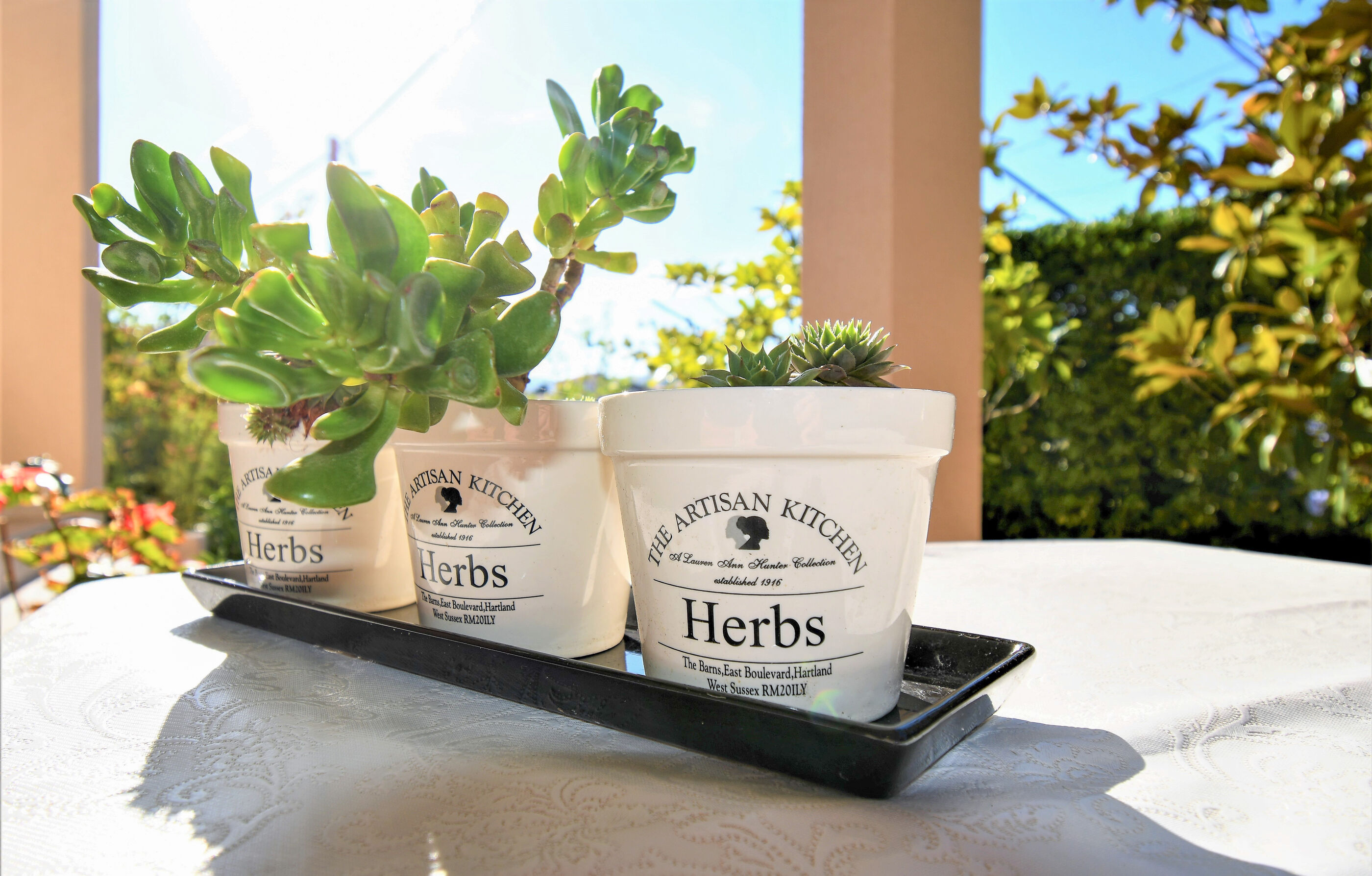 Photo of Apartments Mirjana V