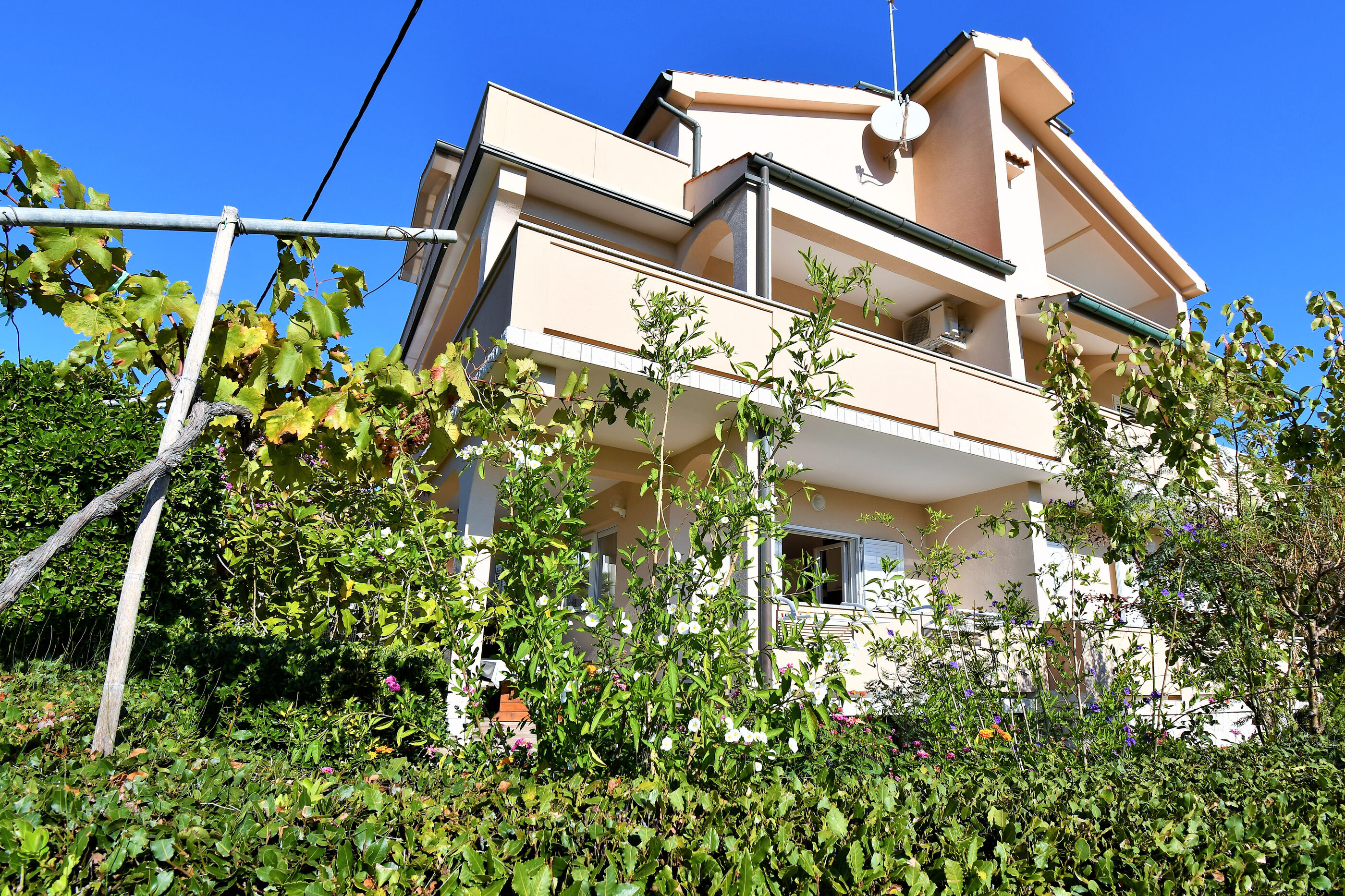 Apartments Mirjana V 94691-A2