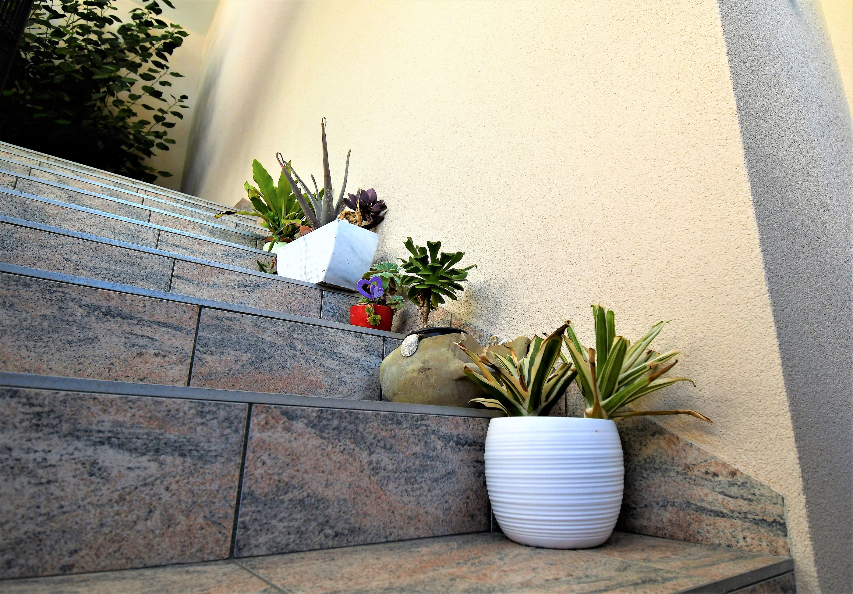 Photo of Apartments Mirjana V