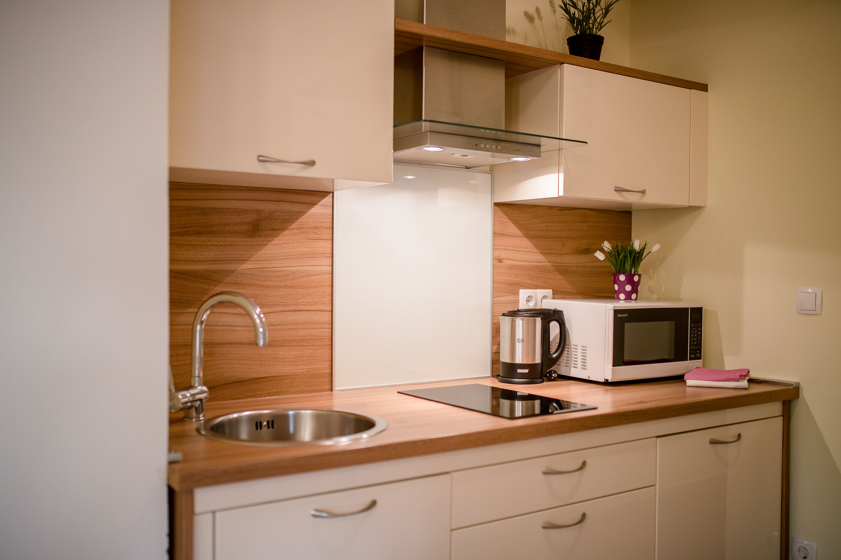 Apartments Spomenka Zvonko 97711-A2
