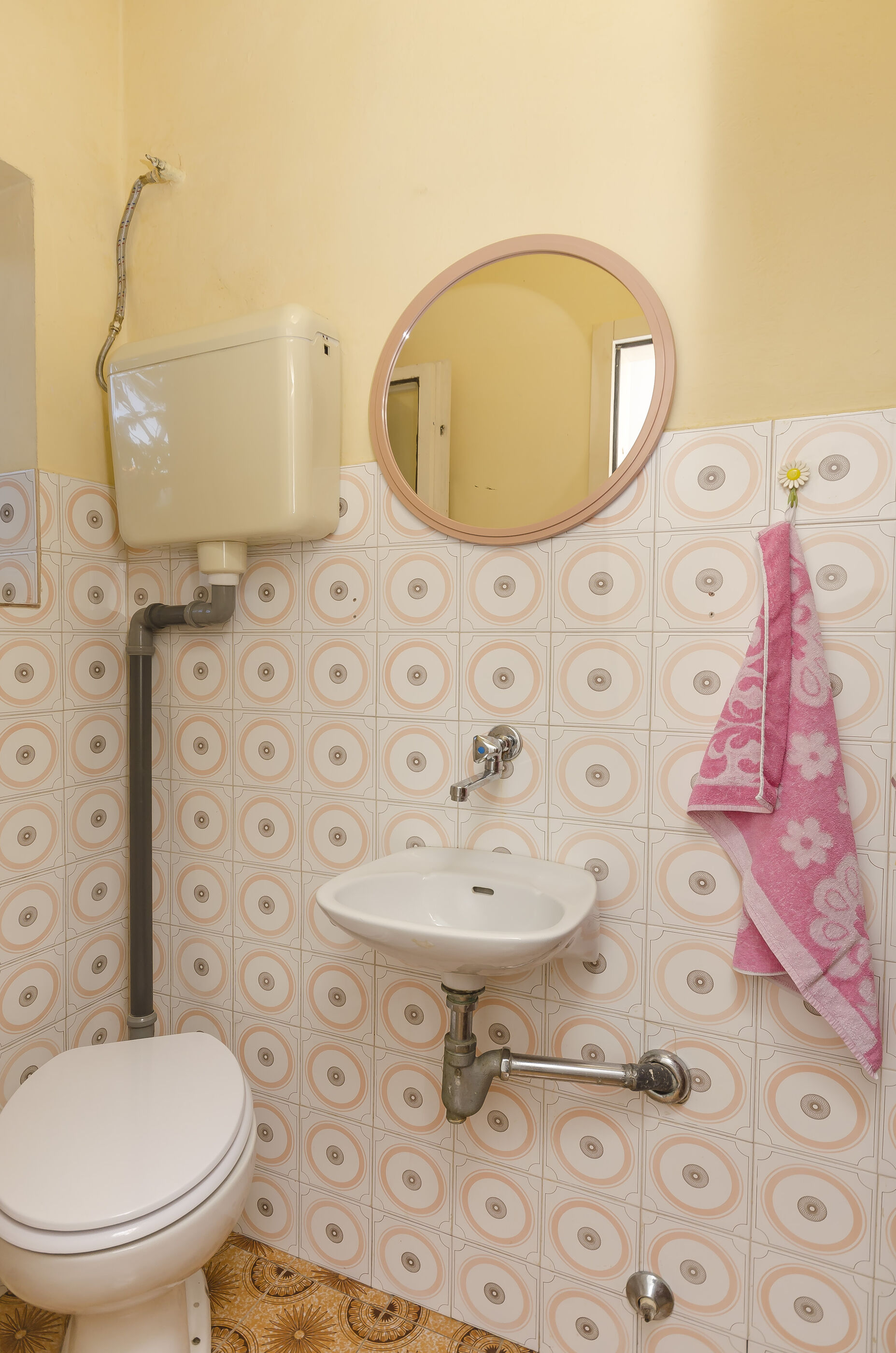 Apartment Branka A1
