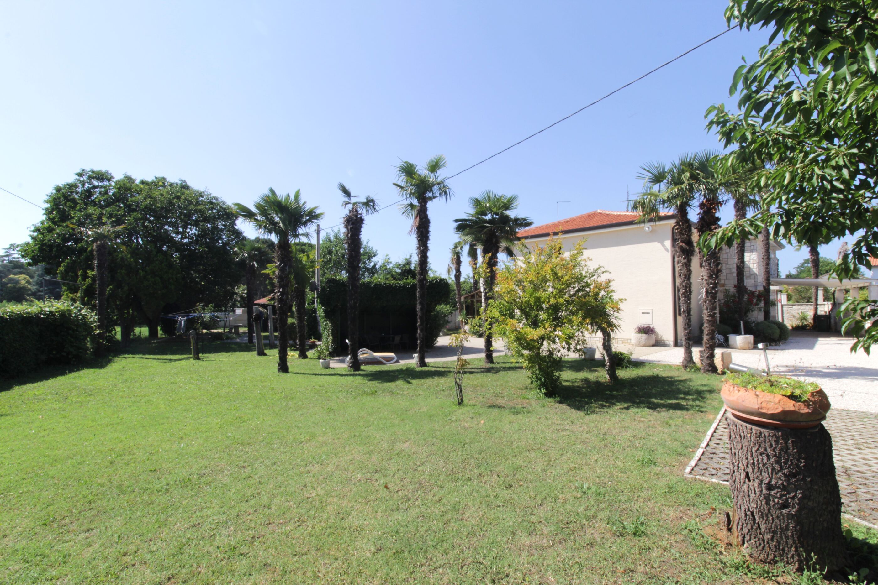 Apartments MIA 94826-A2