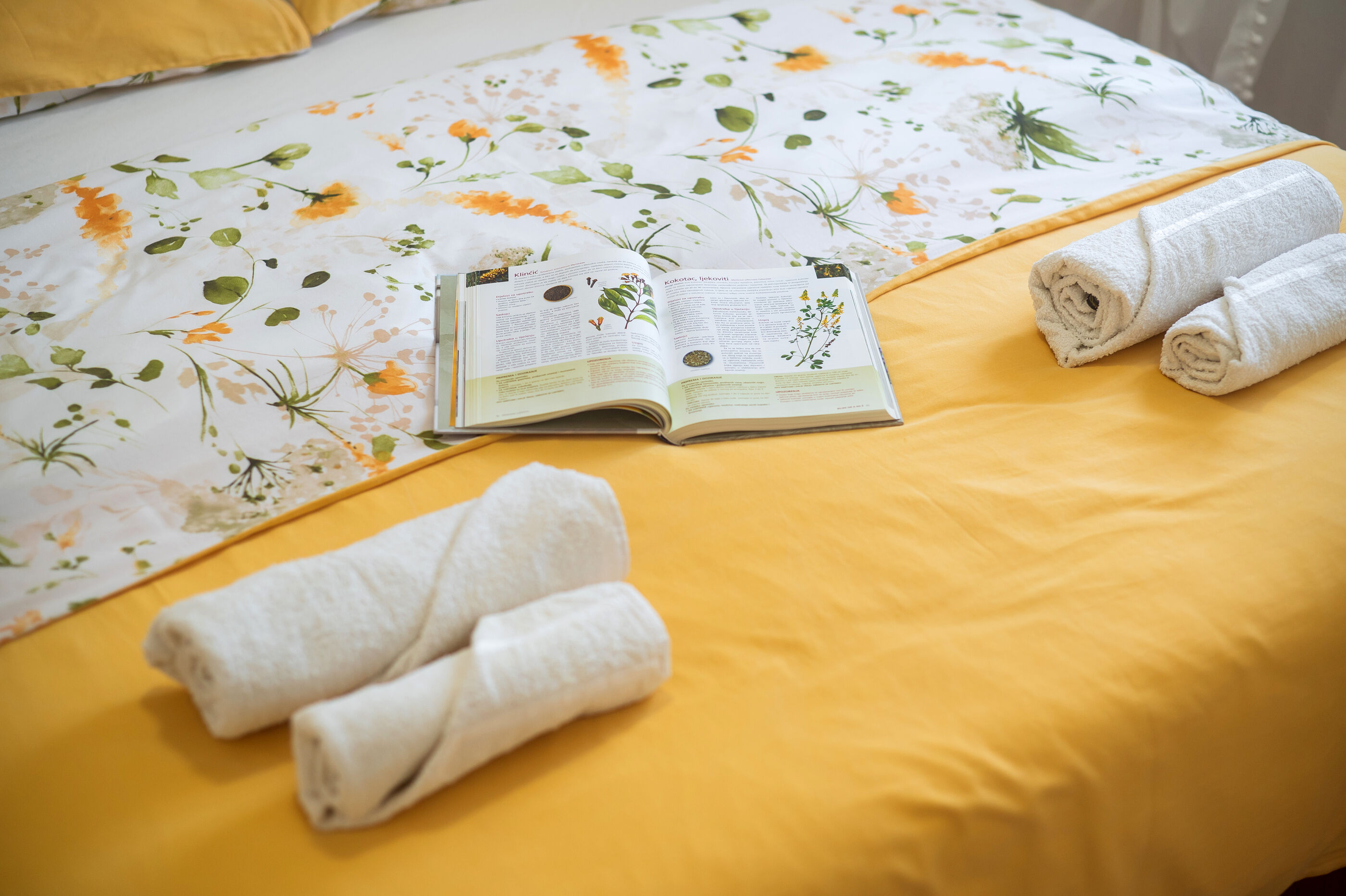Apartment Ivana 23652-A1