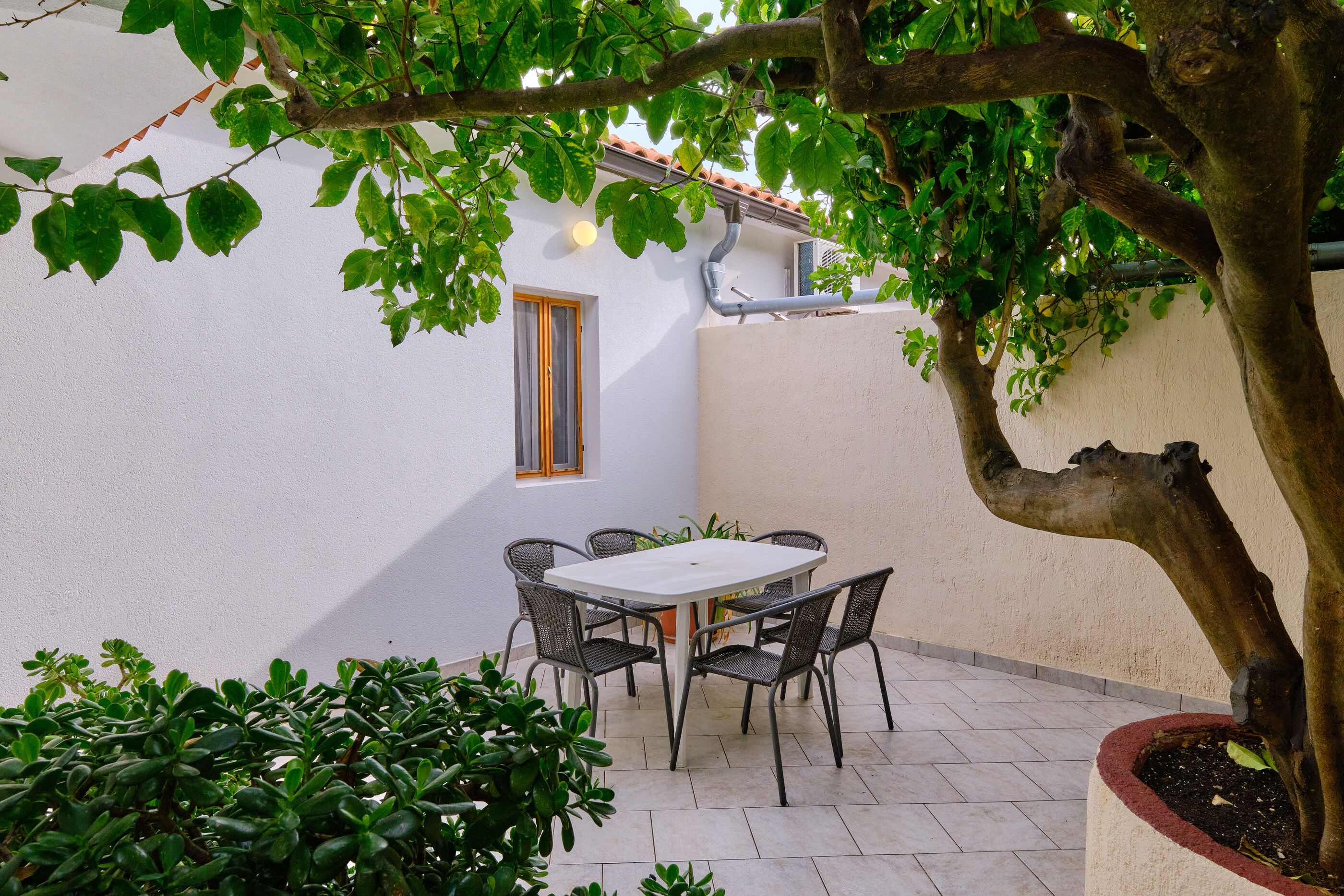 Apartment ANTONELLA 64434-A1