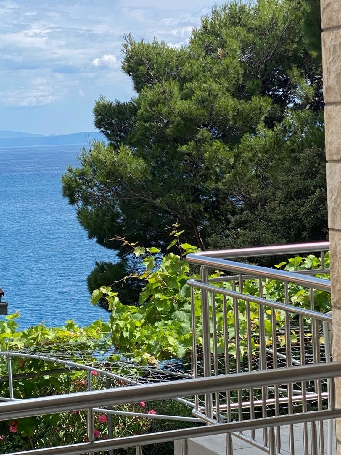 Apartments VILLA DVORSKI 77571-A4