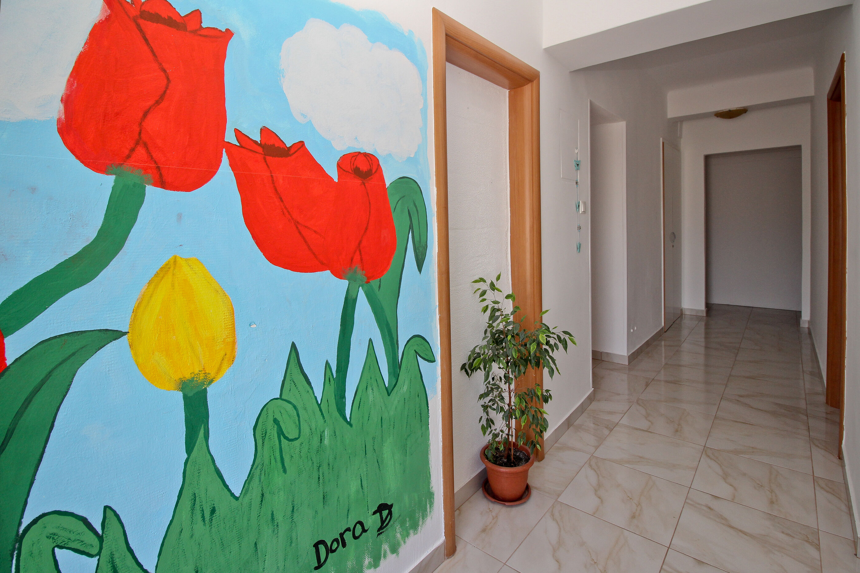 Apartments Dražen 69611-A2