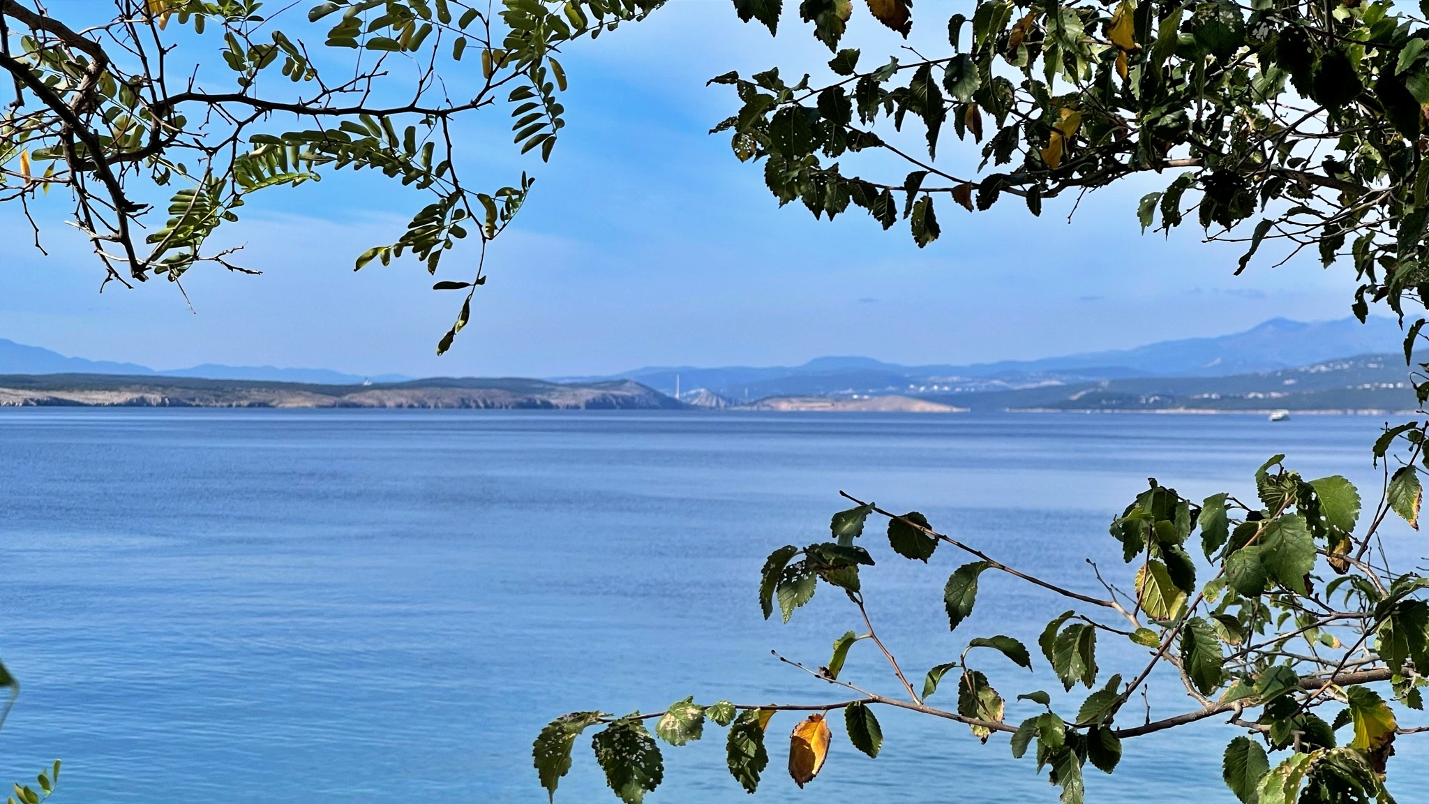 Apartments Gorišek 94038-A2