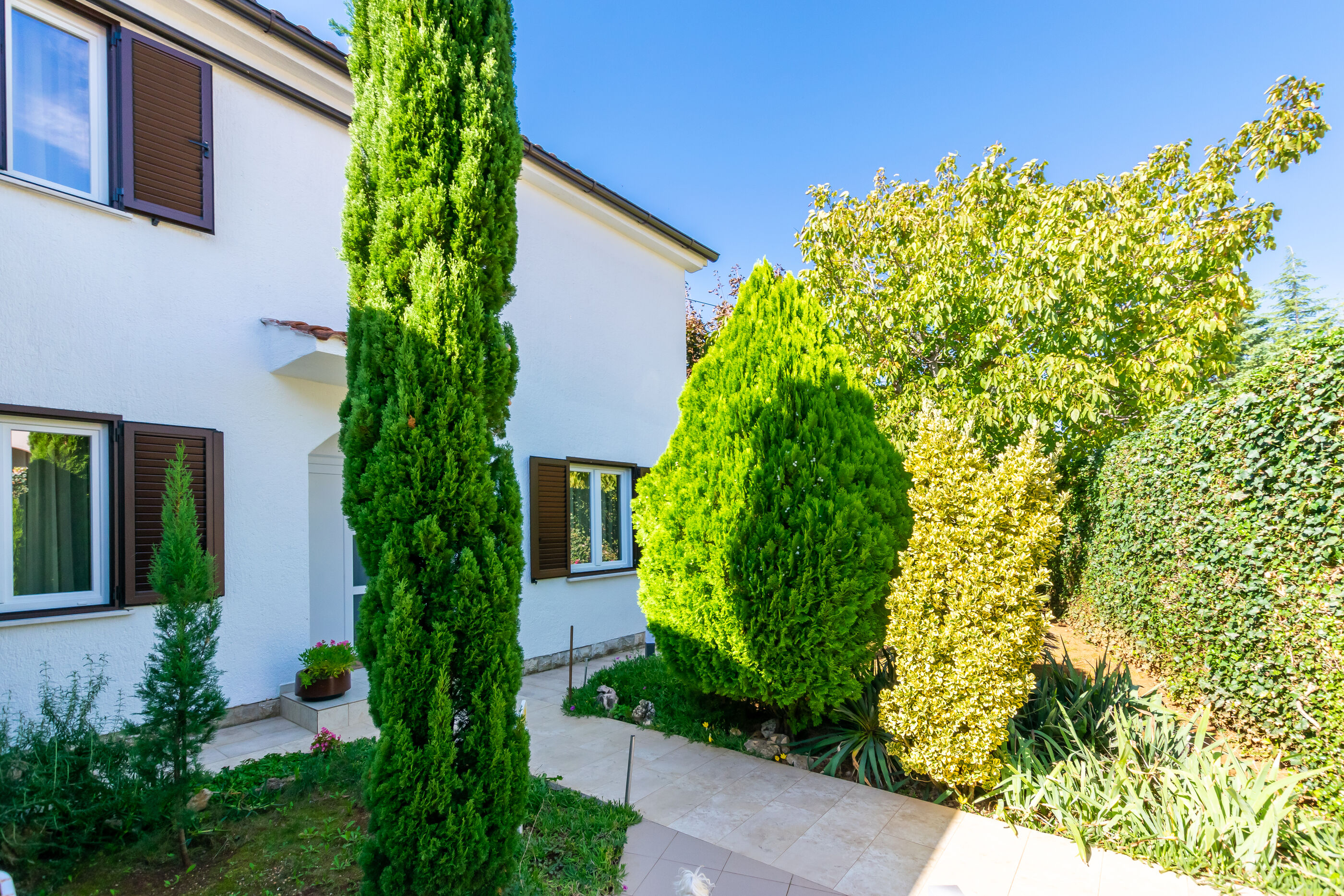 Apartment VESNA 82051-A1