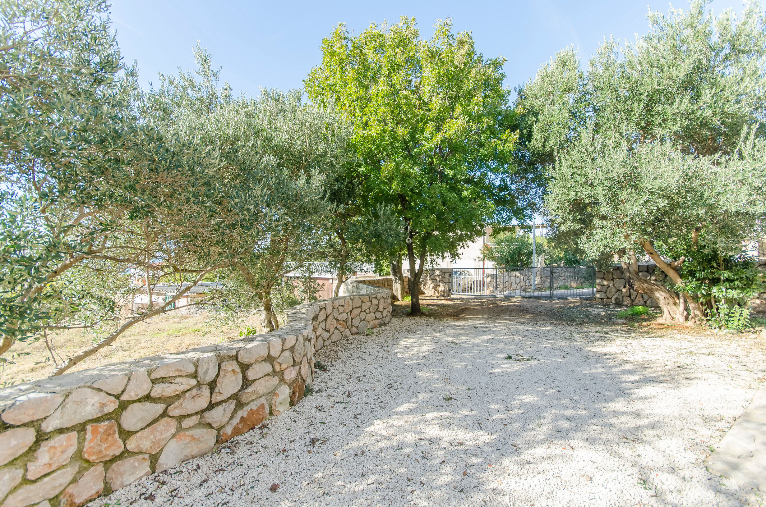 Apartment Nika 78401-A1