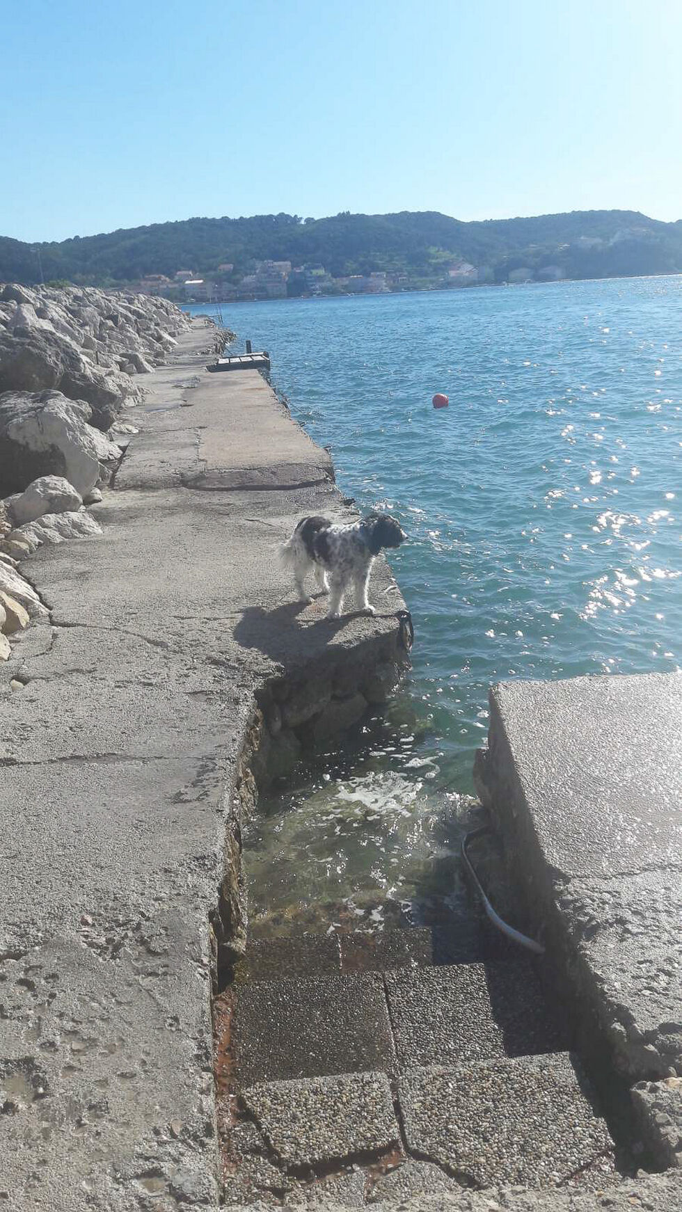 Photo of Apartments Sabina