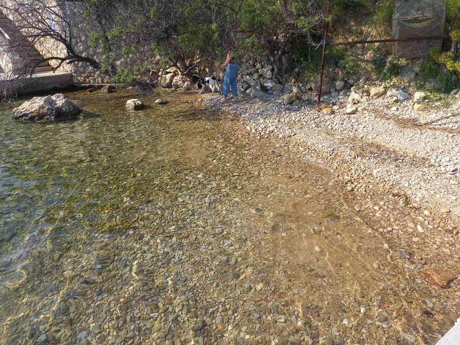 Photo of Apartments Sabina