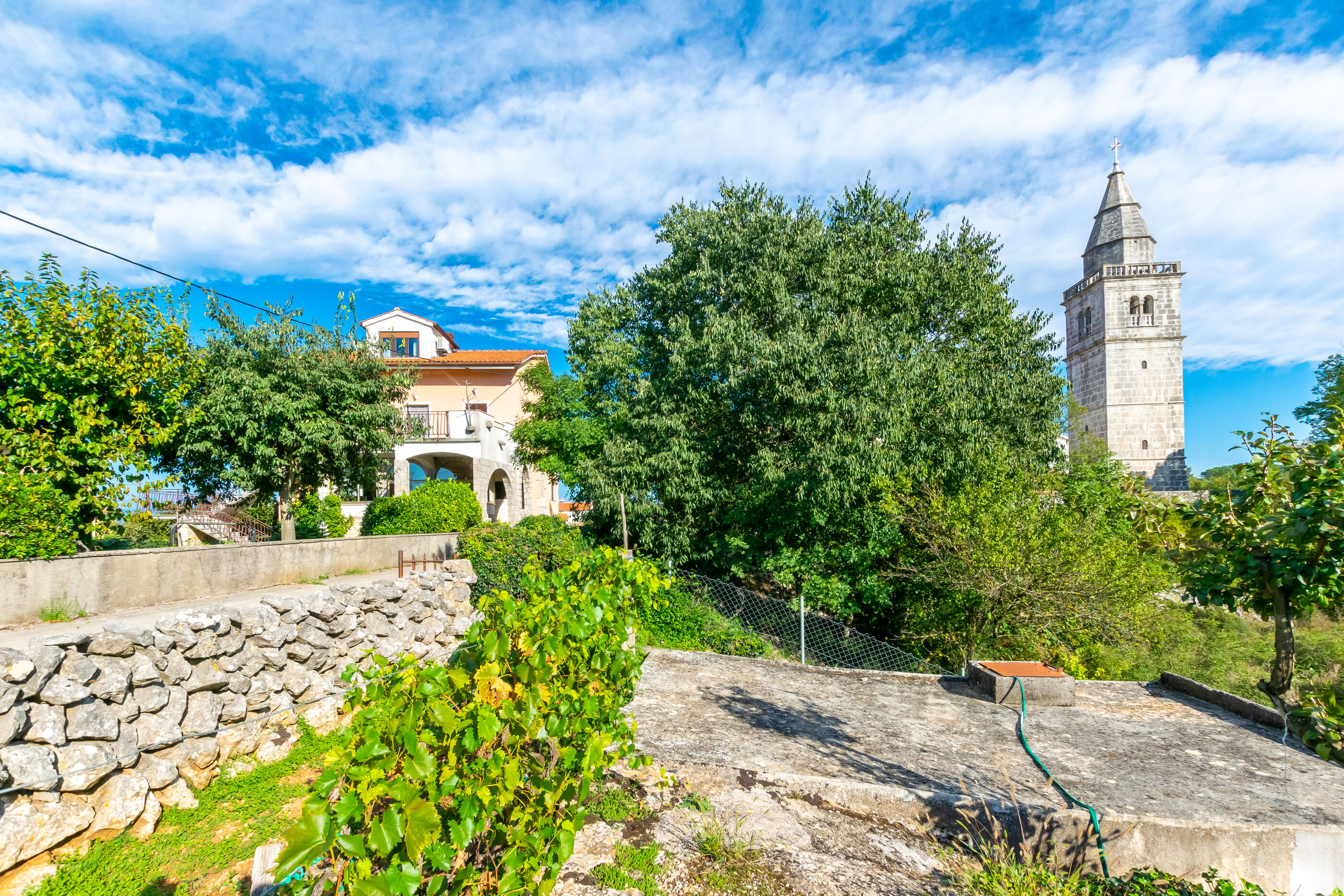 Photo of Apartment Petar