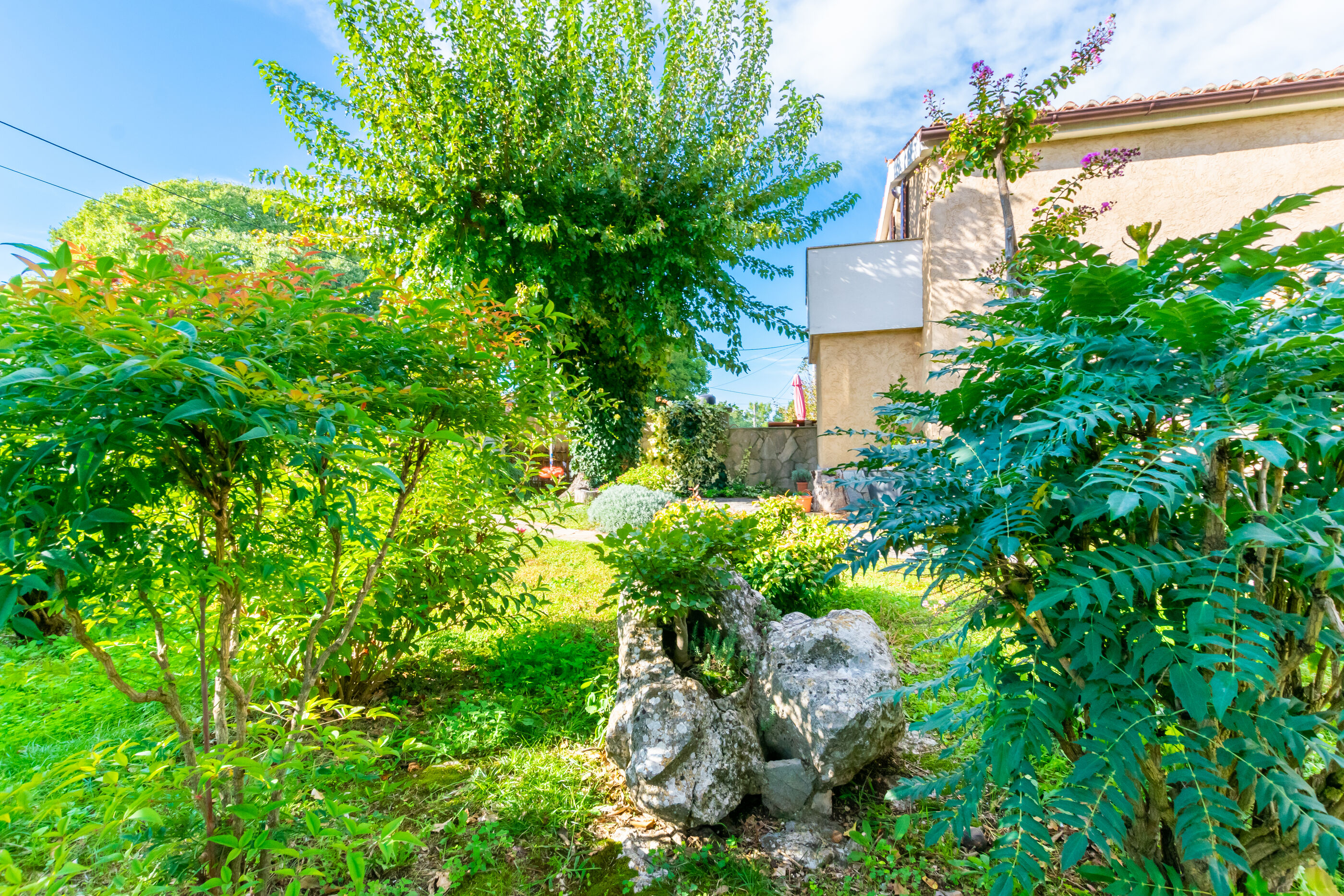 Photo of Apartment Petar