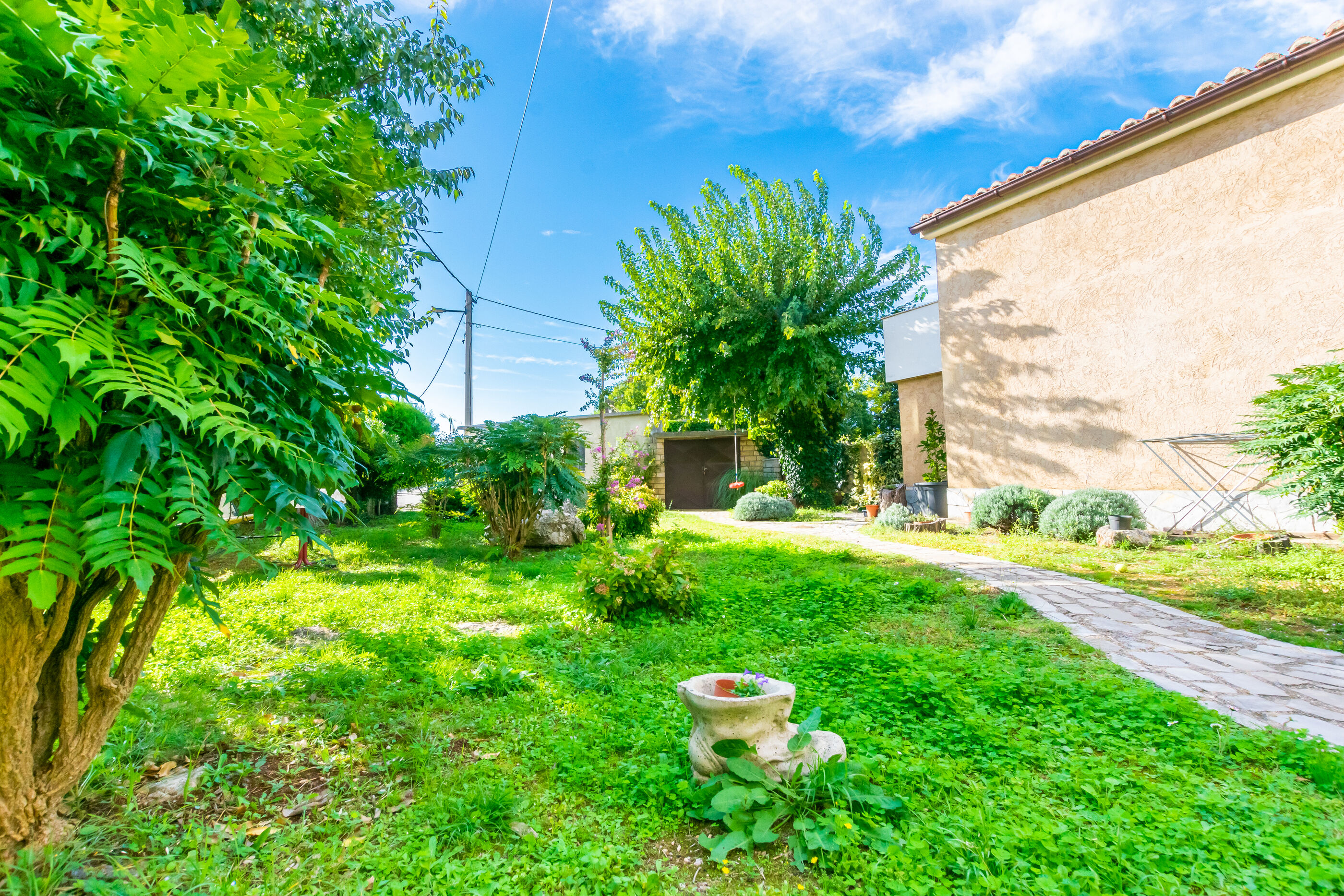Apartment Petar 60991-A1