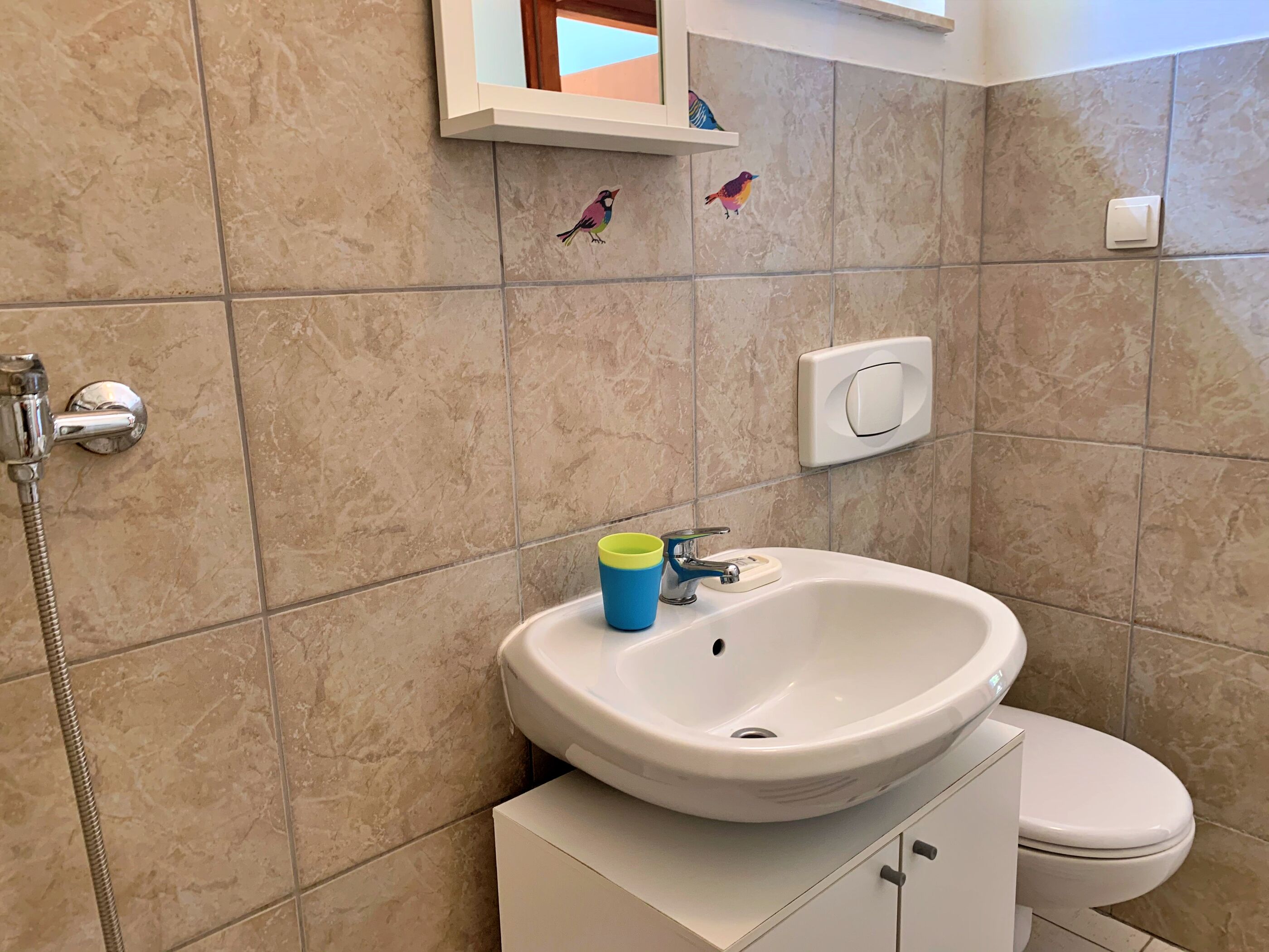 Apartments Savić 69761-A2