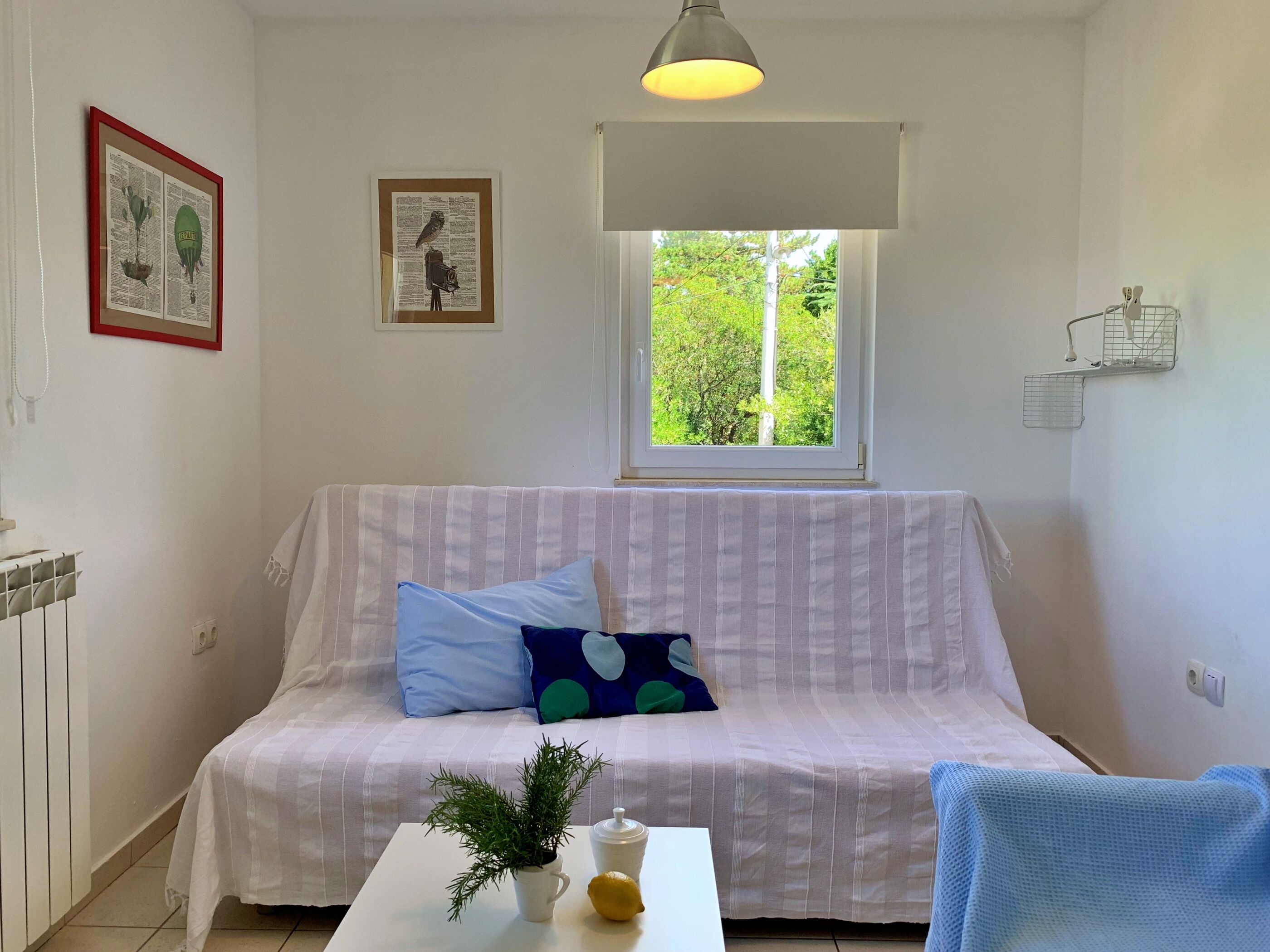 Apartments Savić 69761-A3