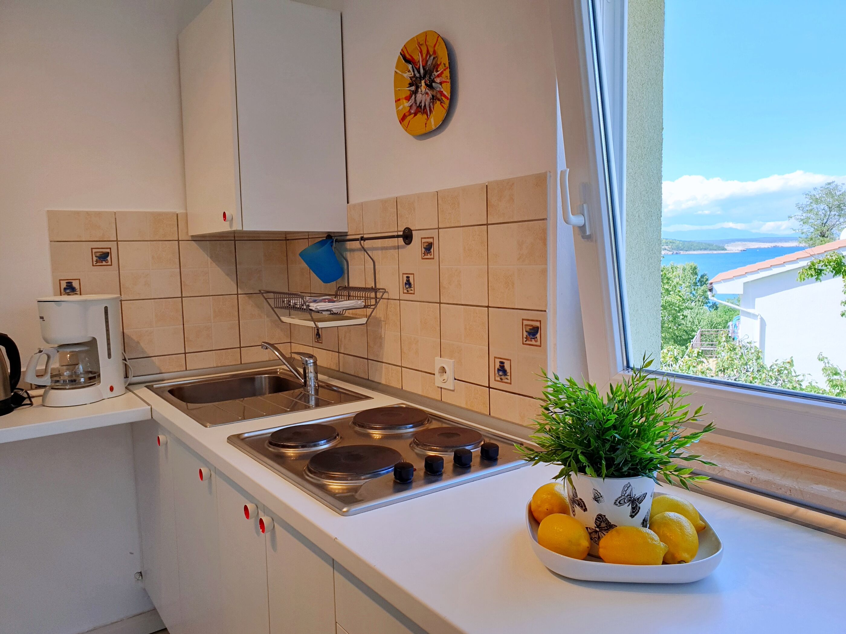 Apartments Savić 69761-A3