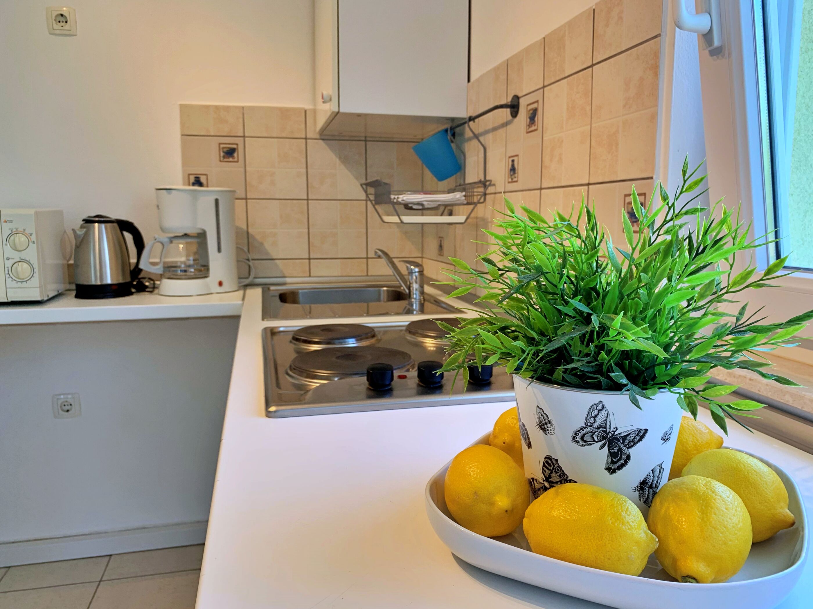 Apartments Savić 69761-A3