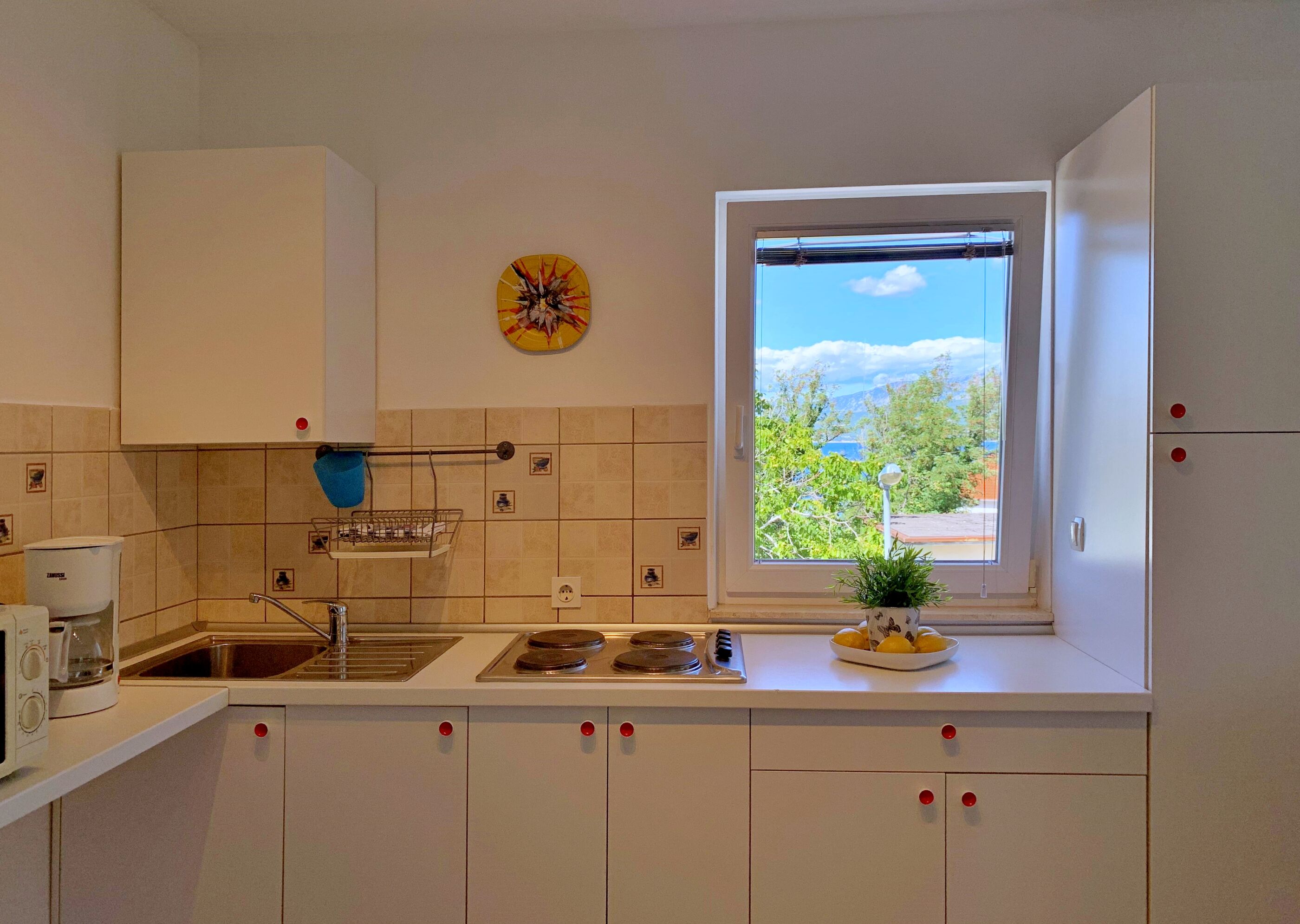 Apartments Savić 69761-A3