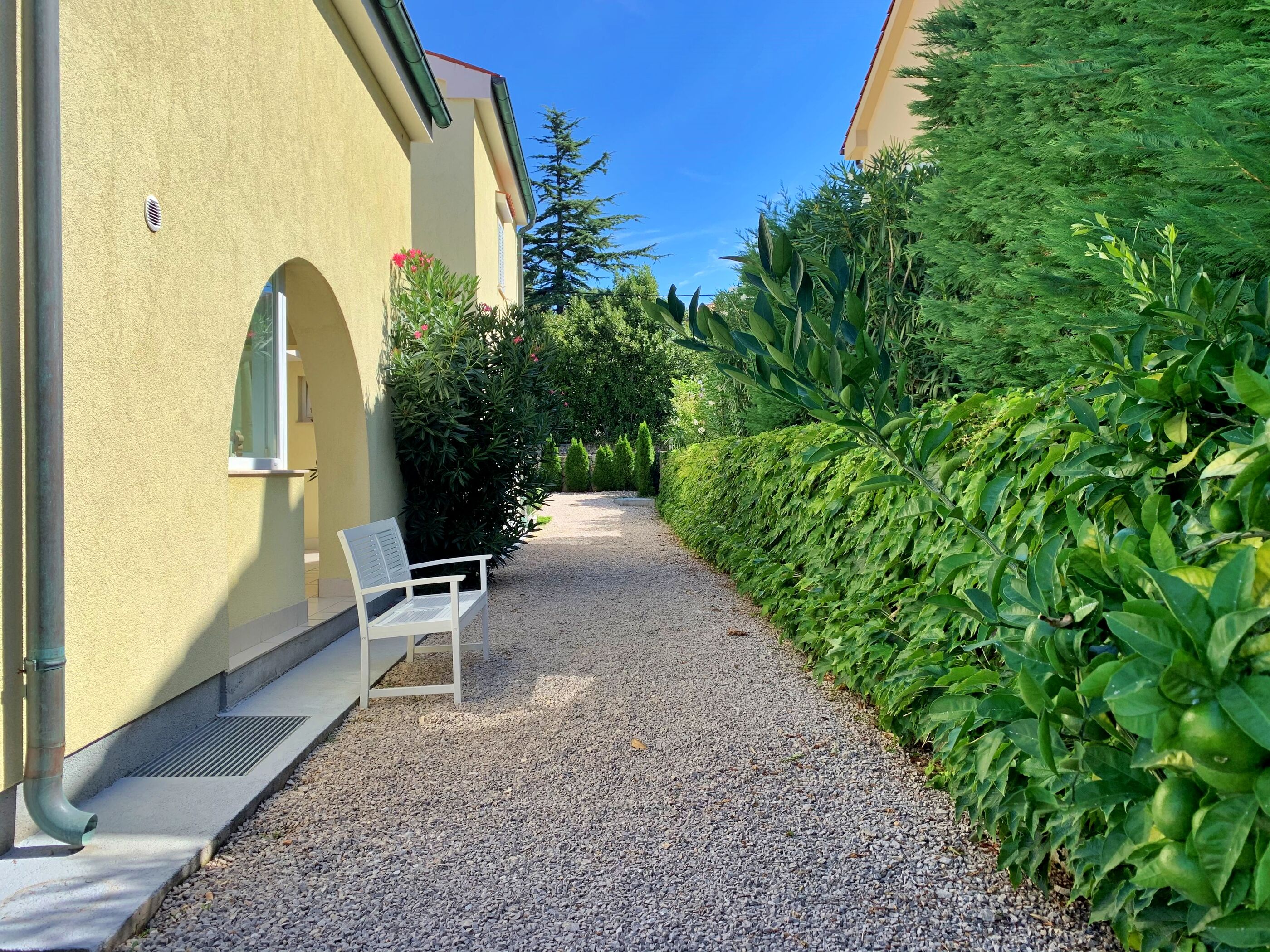 Apartments Savić 69761-A4