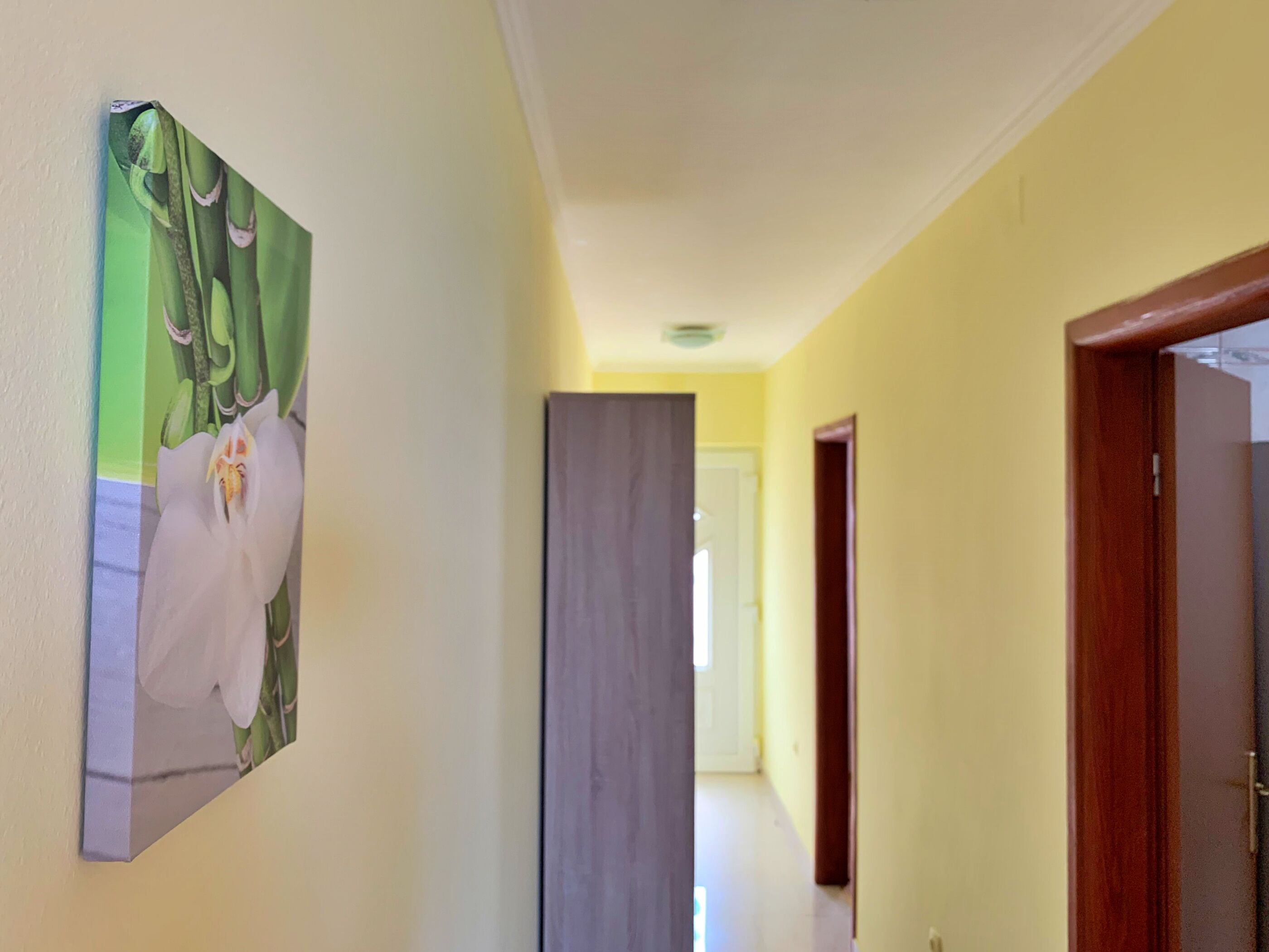 Apartments Koraljka 69641-A1