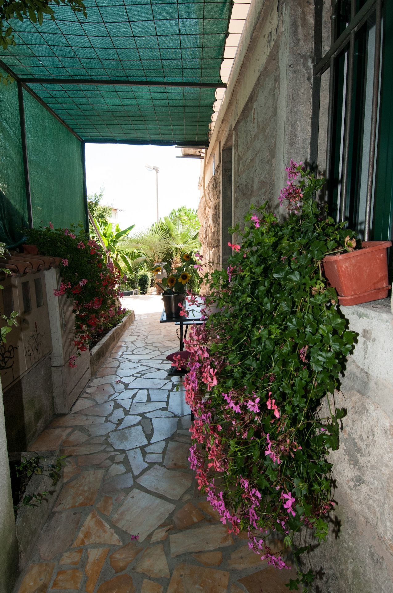 Photo of Apartments Lovran