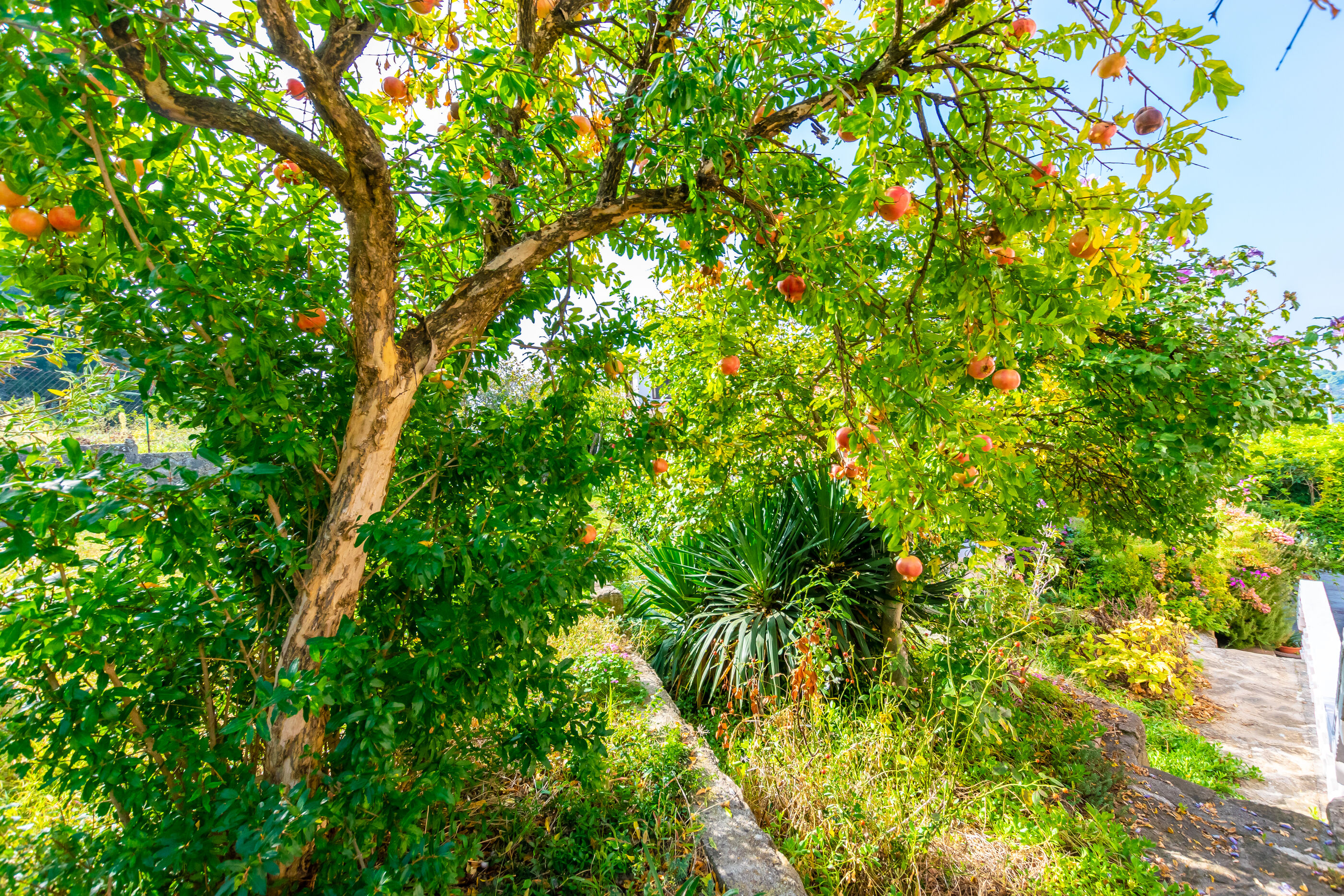 Photo of Apartments Antonija