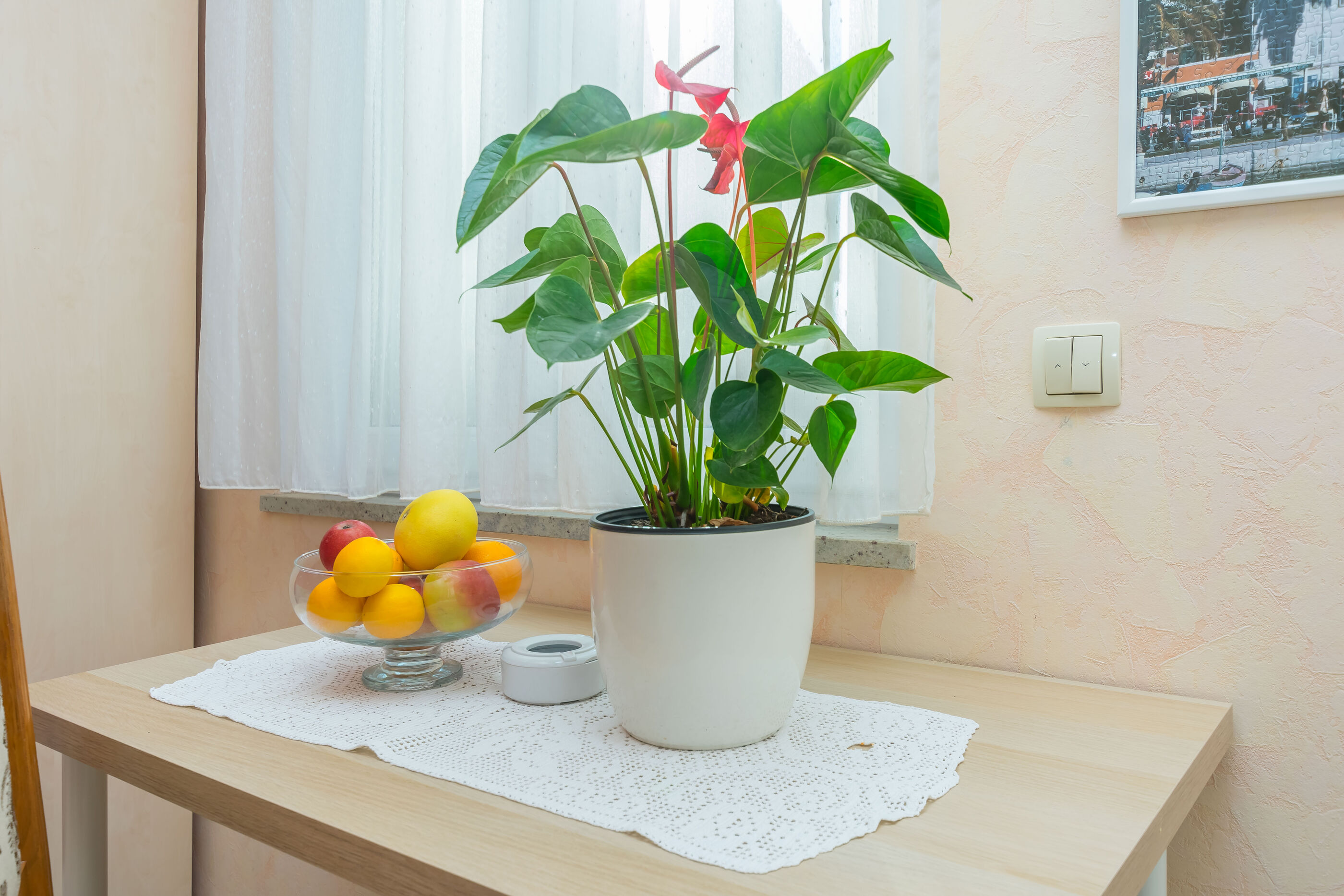Apartments Tonko 98131-A1