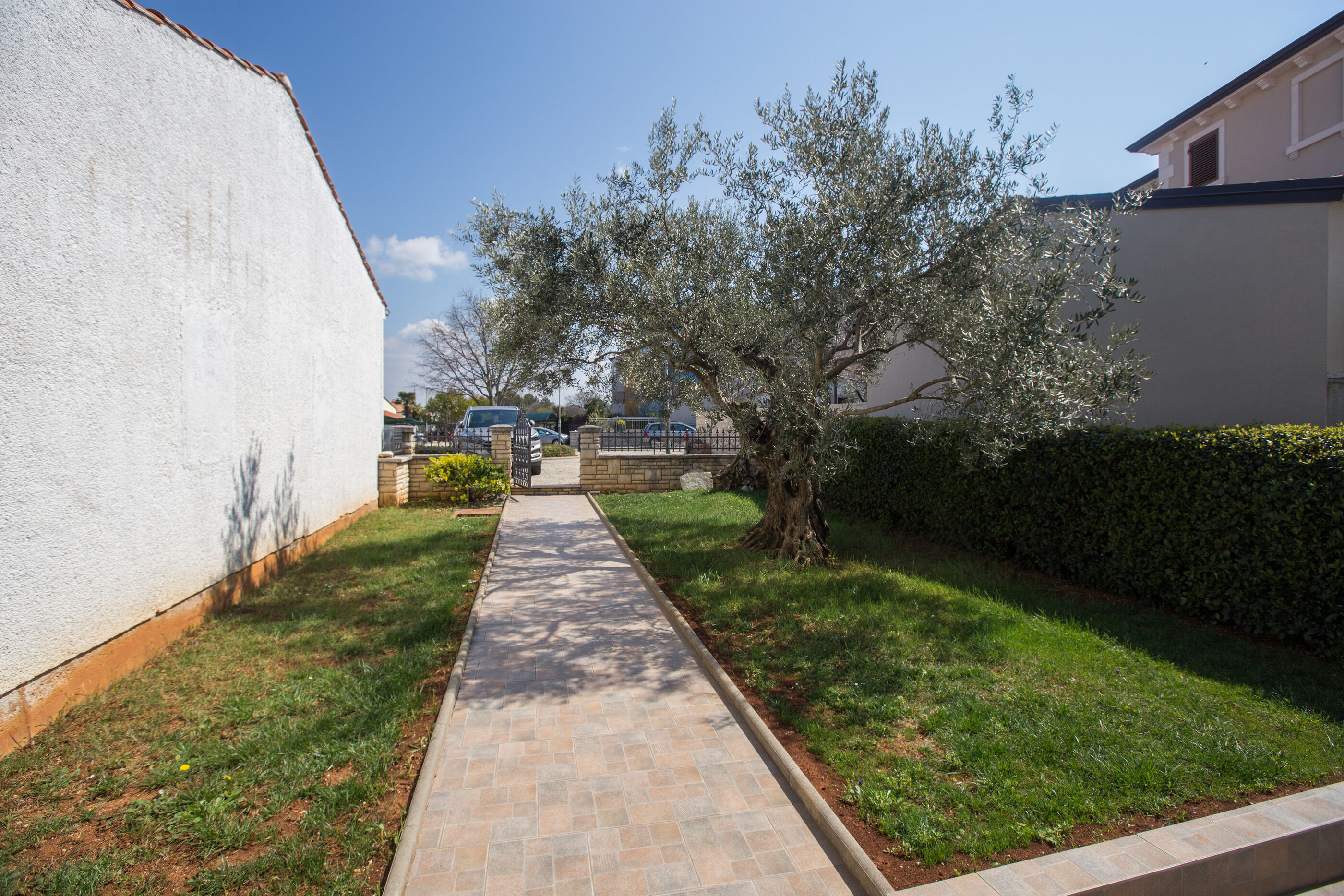 House Oliva 84882-K1