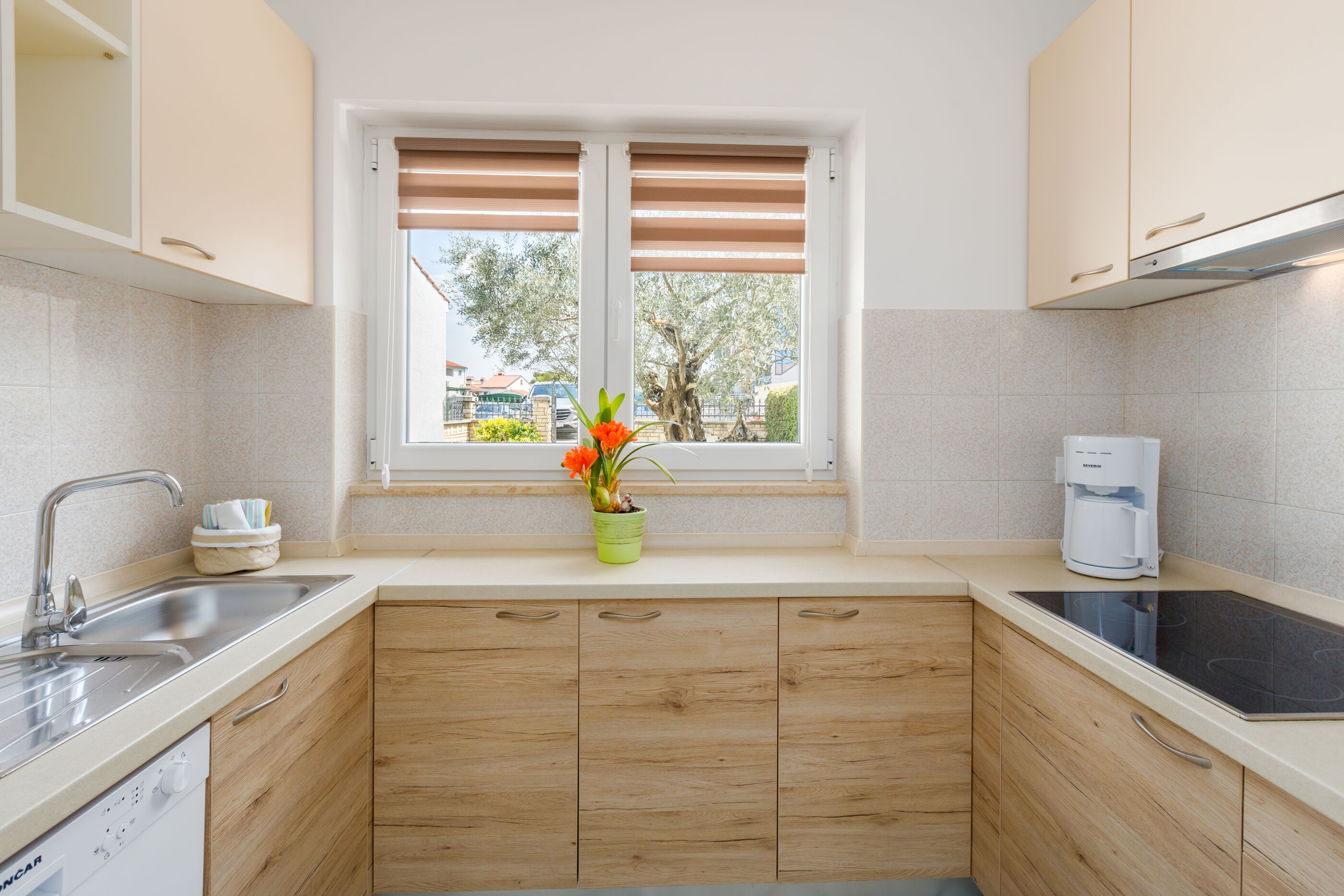 House Oliva 84882-K1