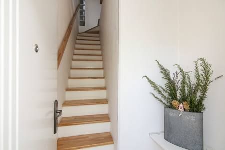 Apartments Rozankovic 98141-A2