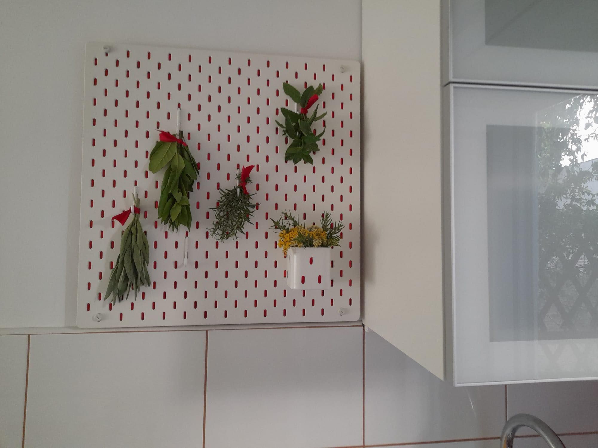 Apartments Rozankovic 98141-A1