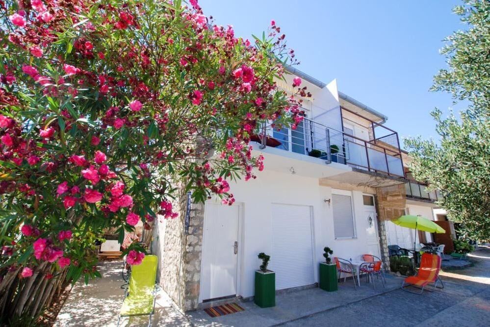 Apartments Rozankovic 98141-A1