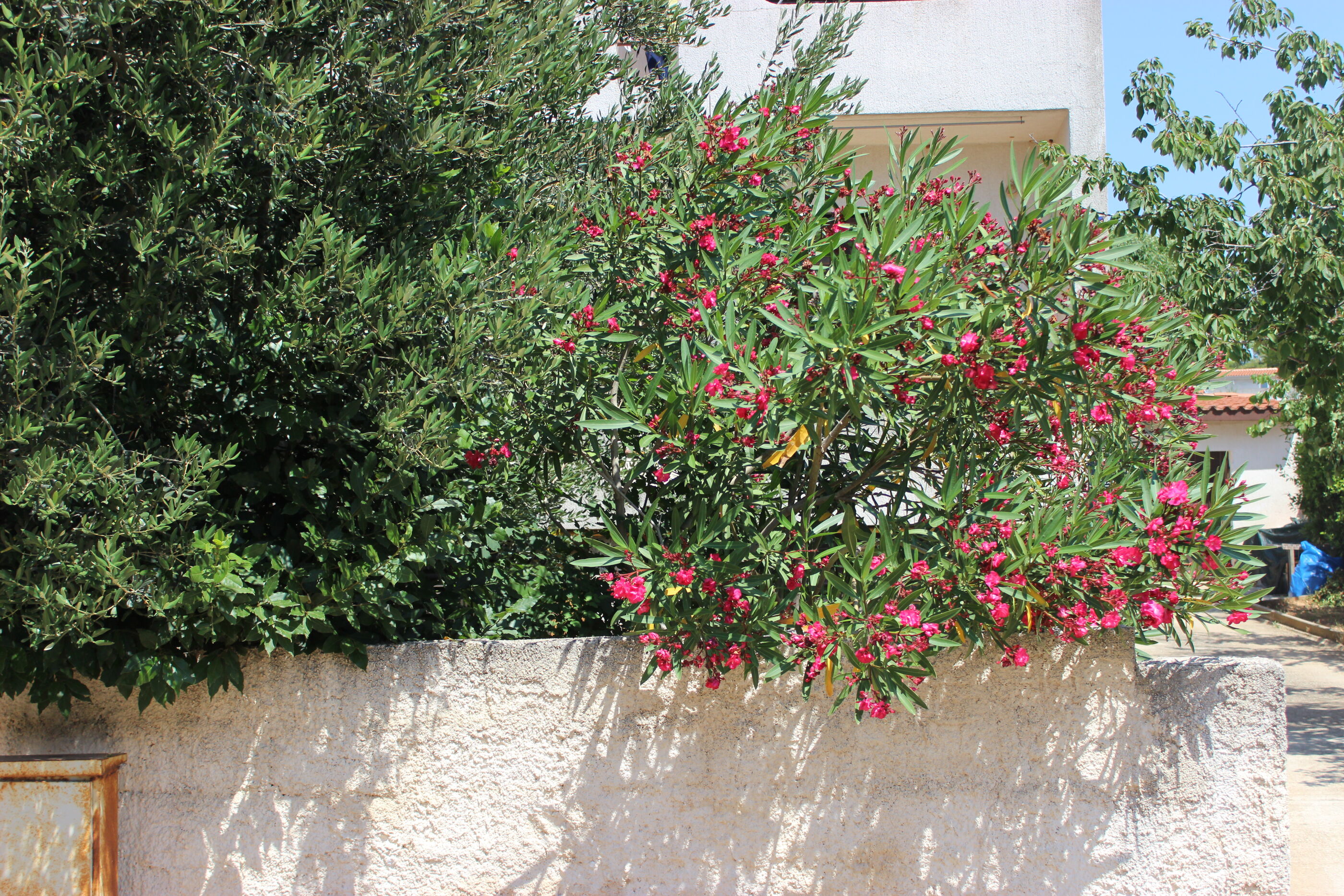 Photo of Apartment Kunce