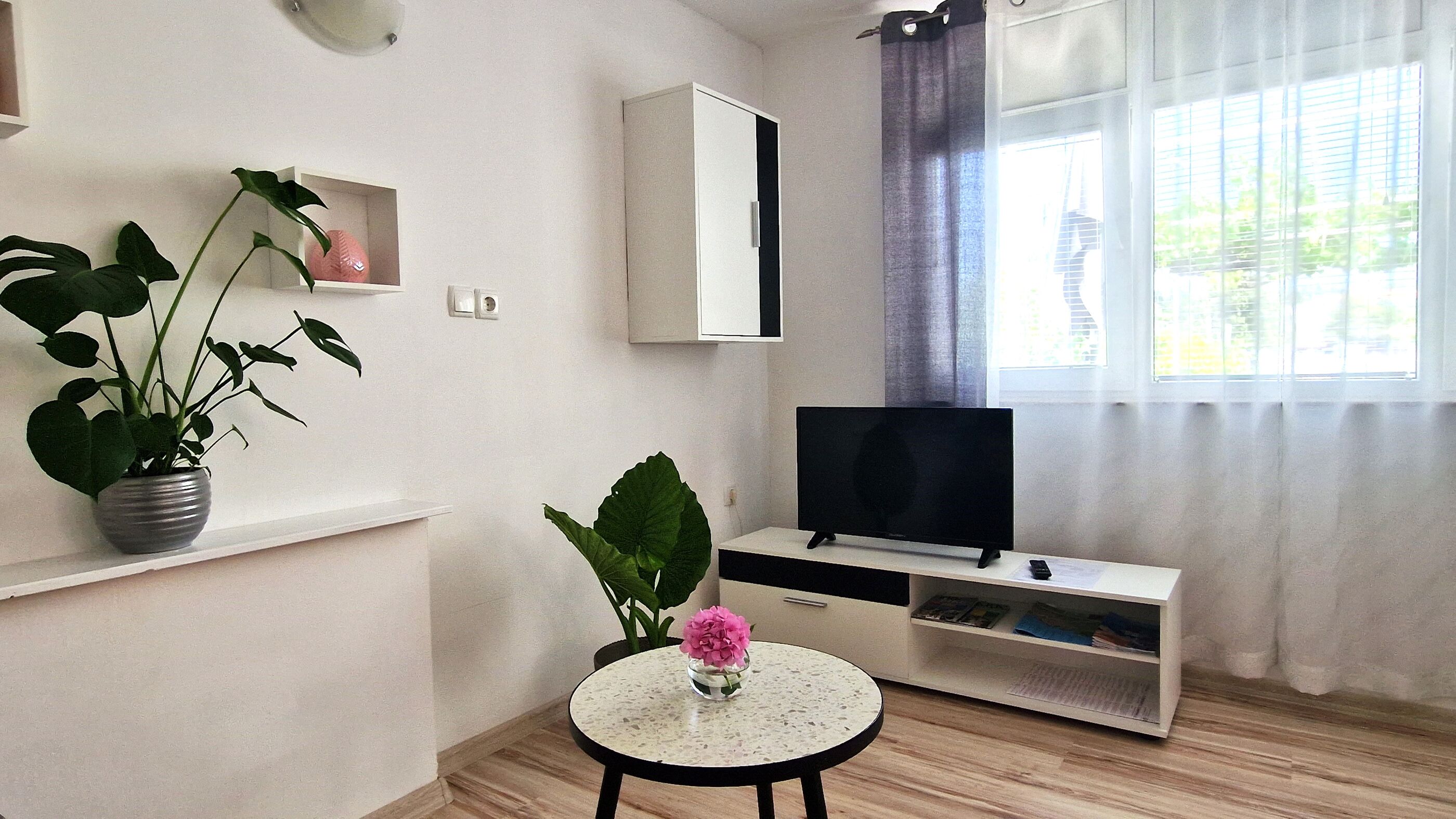 Apartment JAGODA 15119-A1