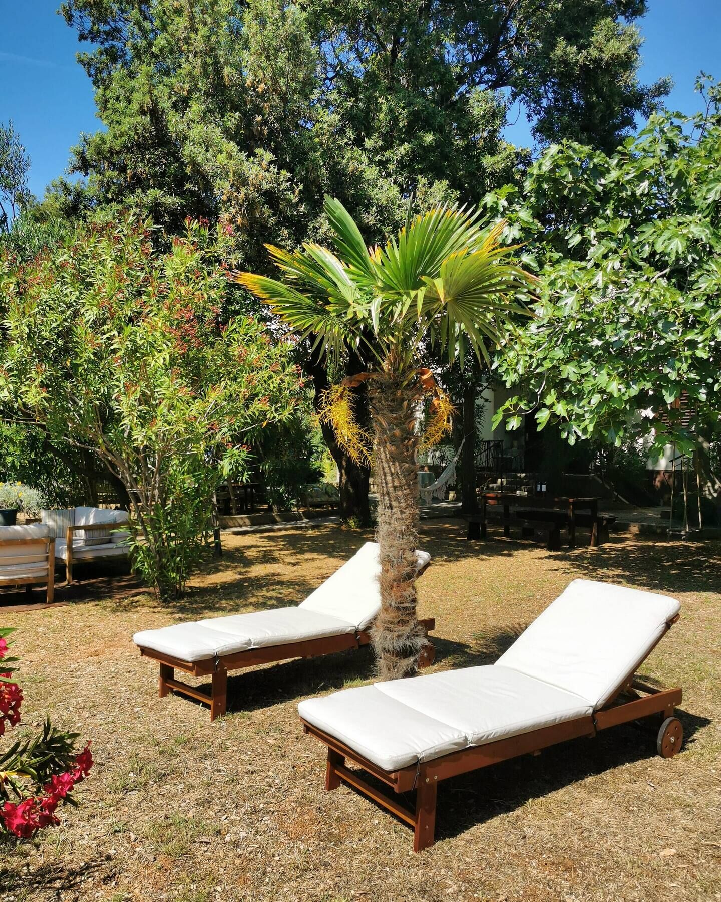 Apartments Marinic 98231-A1